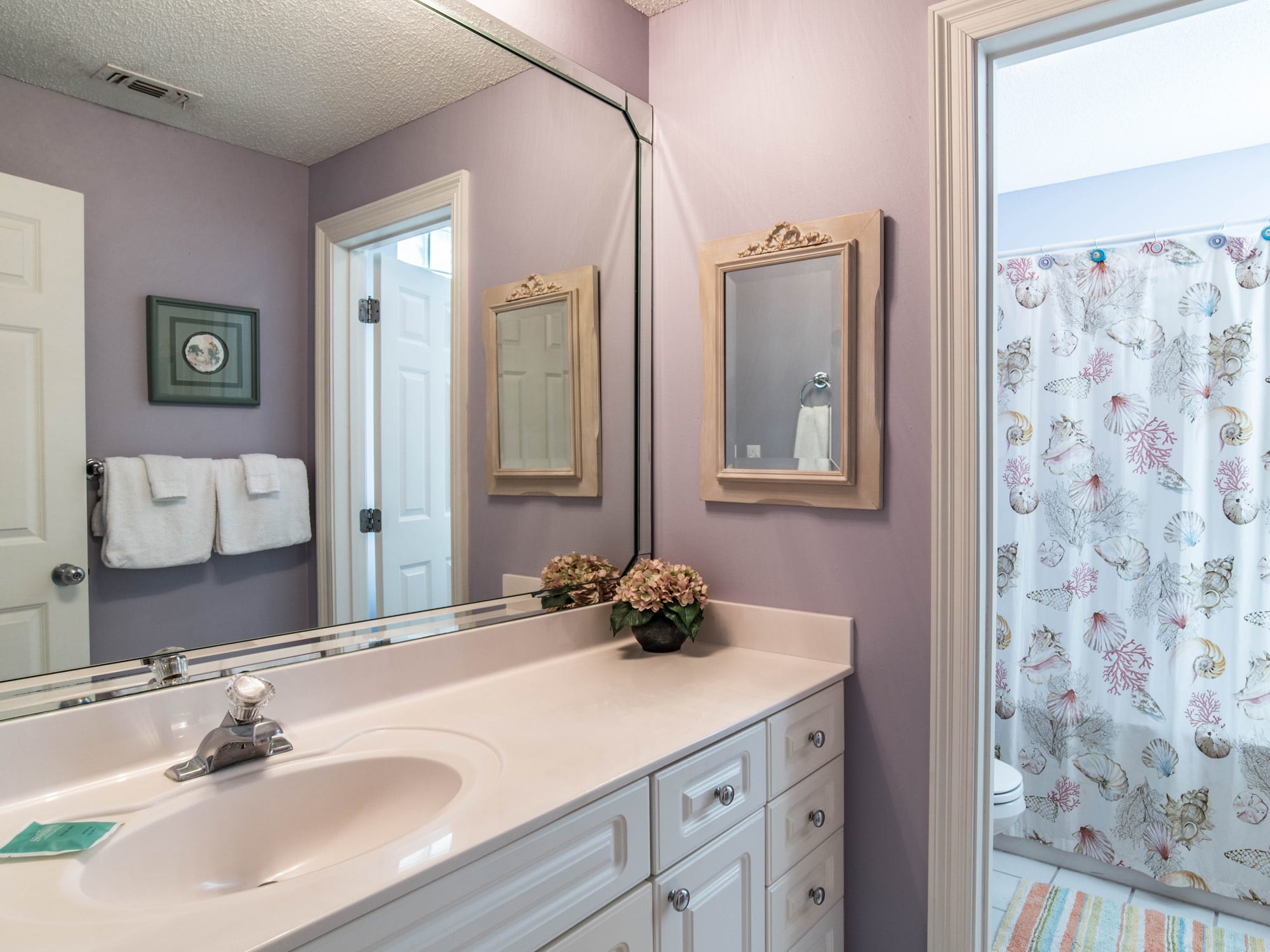 Guest Suite Bathroom.  Tub has jets.