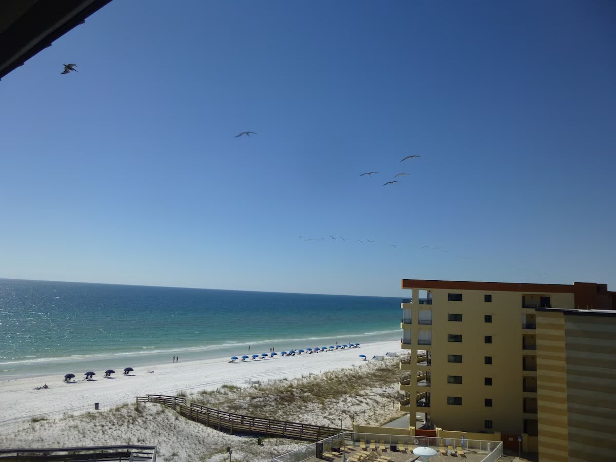 View from balcony - can see pelicans &amp; dolfins