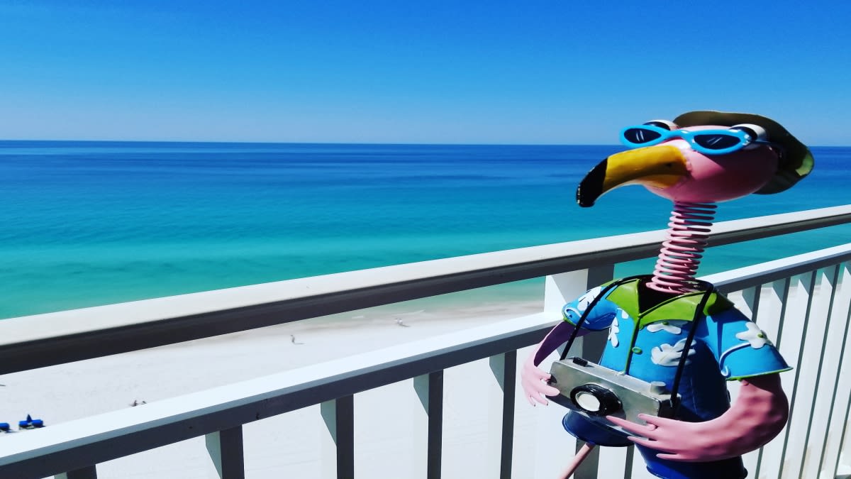 Fred thinks the view from the balcony is amazing!