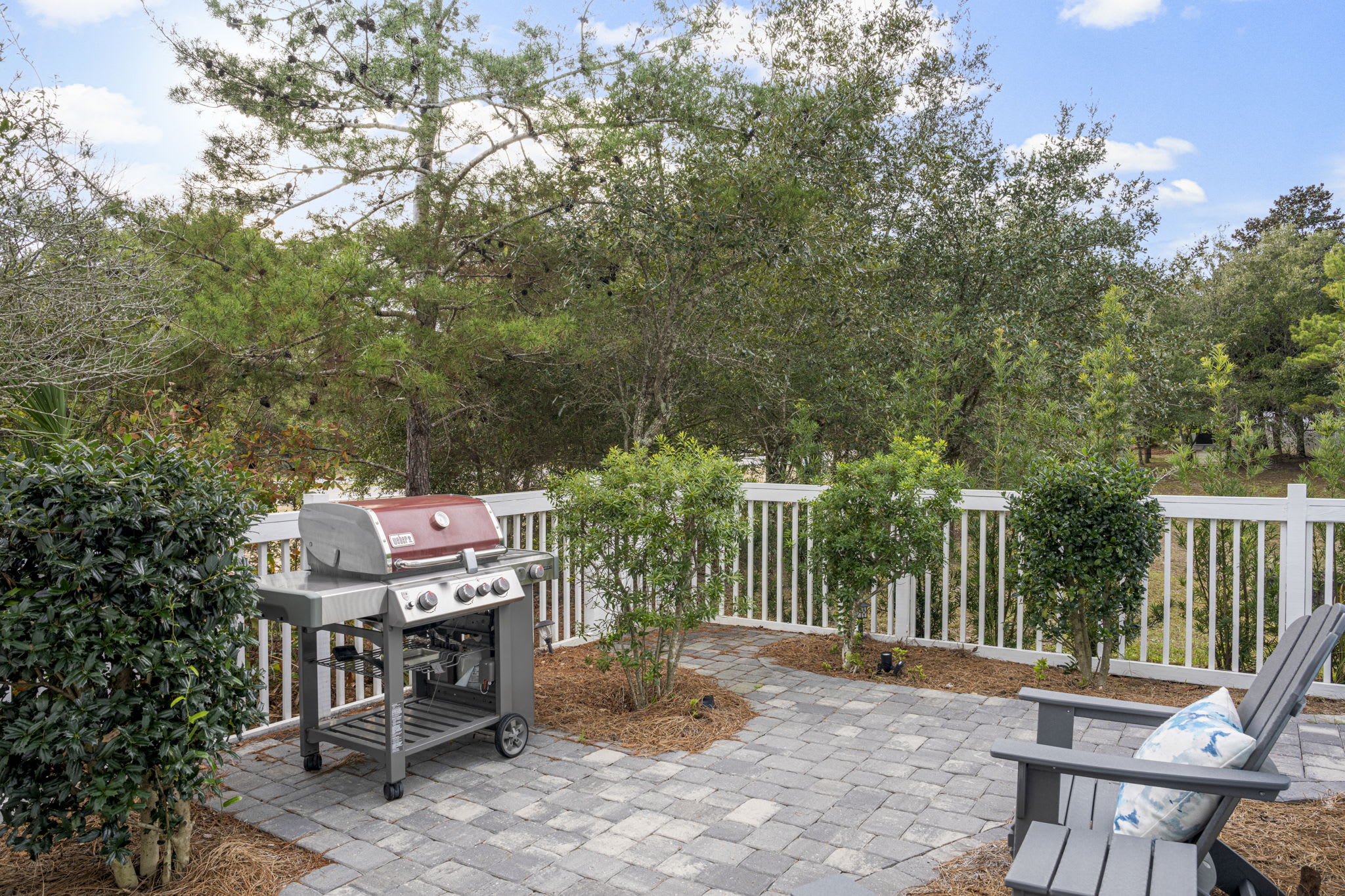 Weber propane grill for your own use- cleaned after each guest