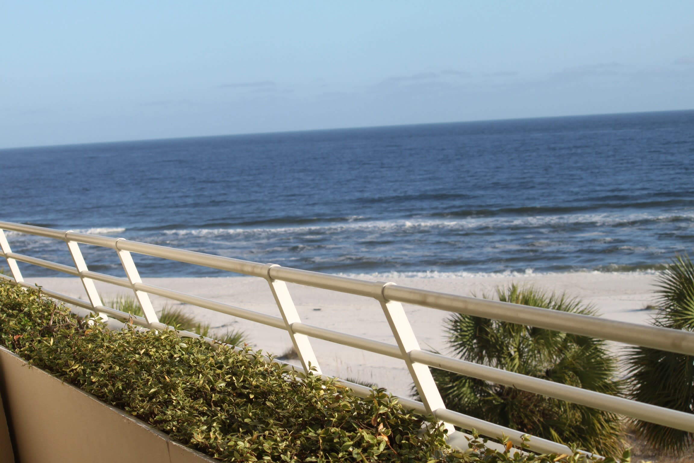 Great for dolphin watching