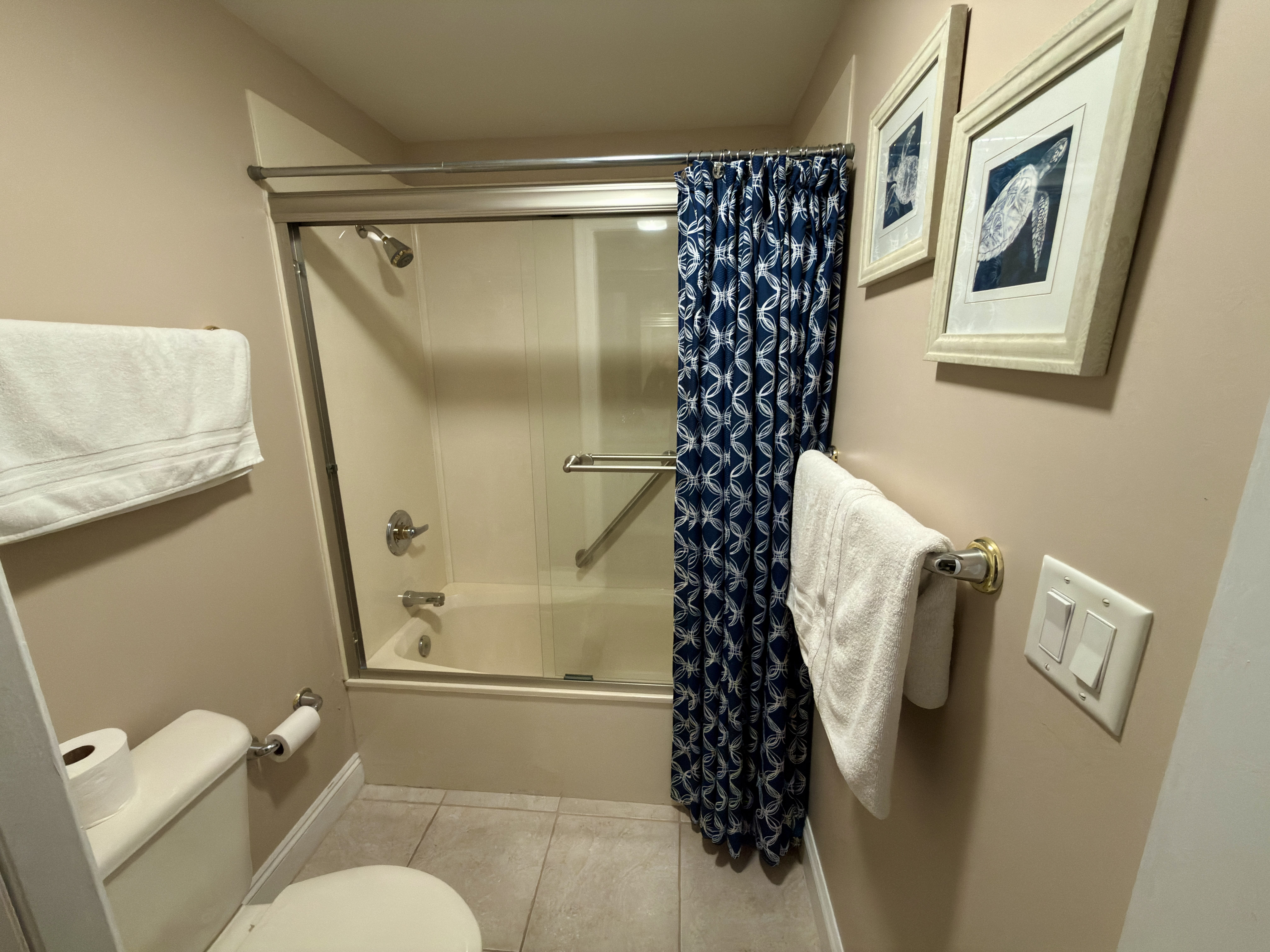 Guest Bathroom Shower Area