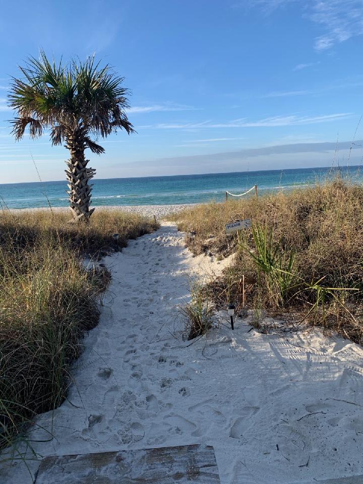 Path from Windswept to Beach