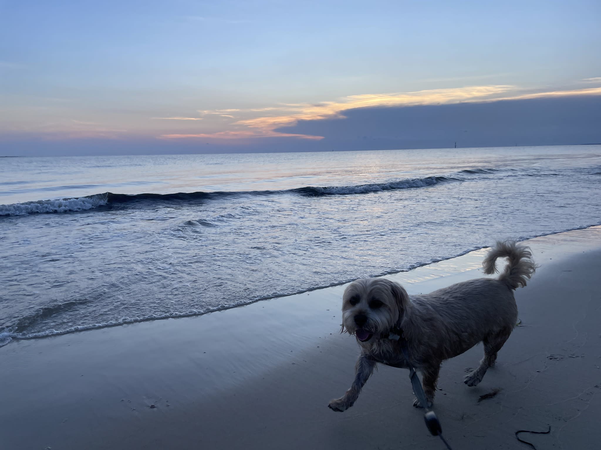 The Tipsy Flamingo PSJ_22