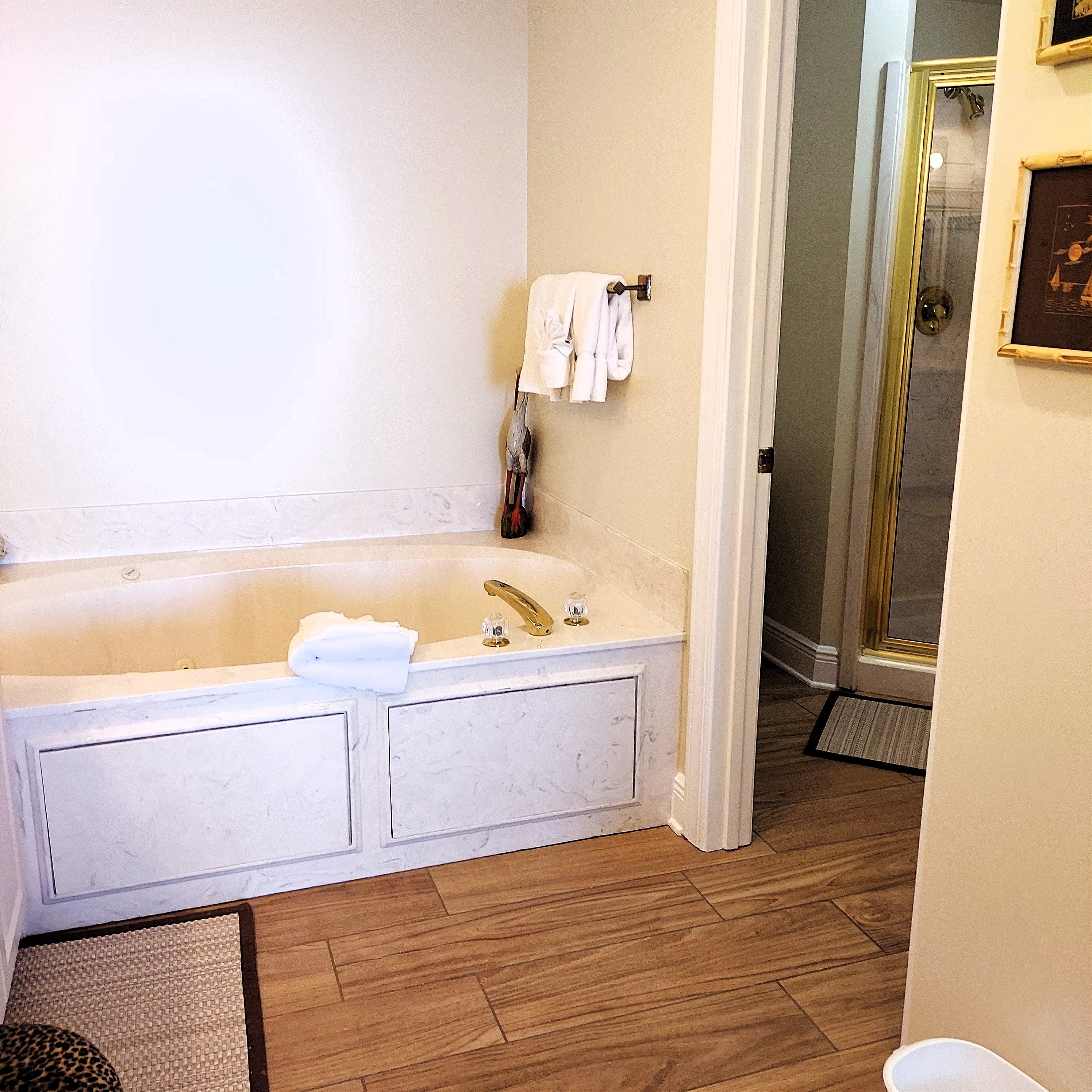 Master Bath Jacuzzi Tub