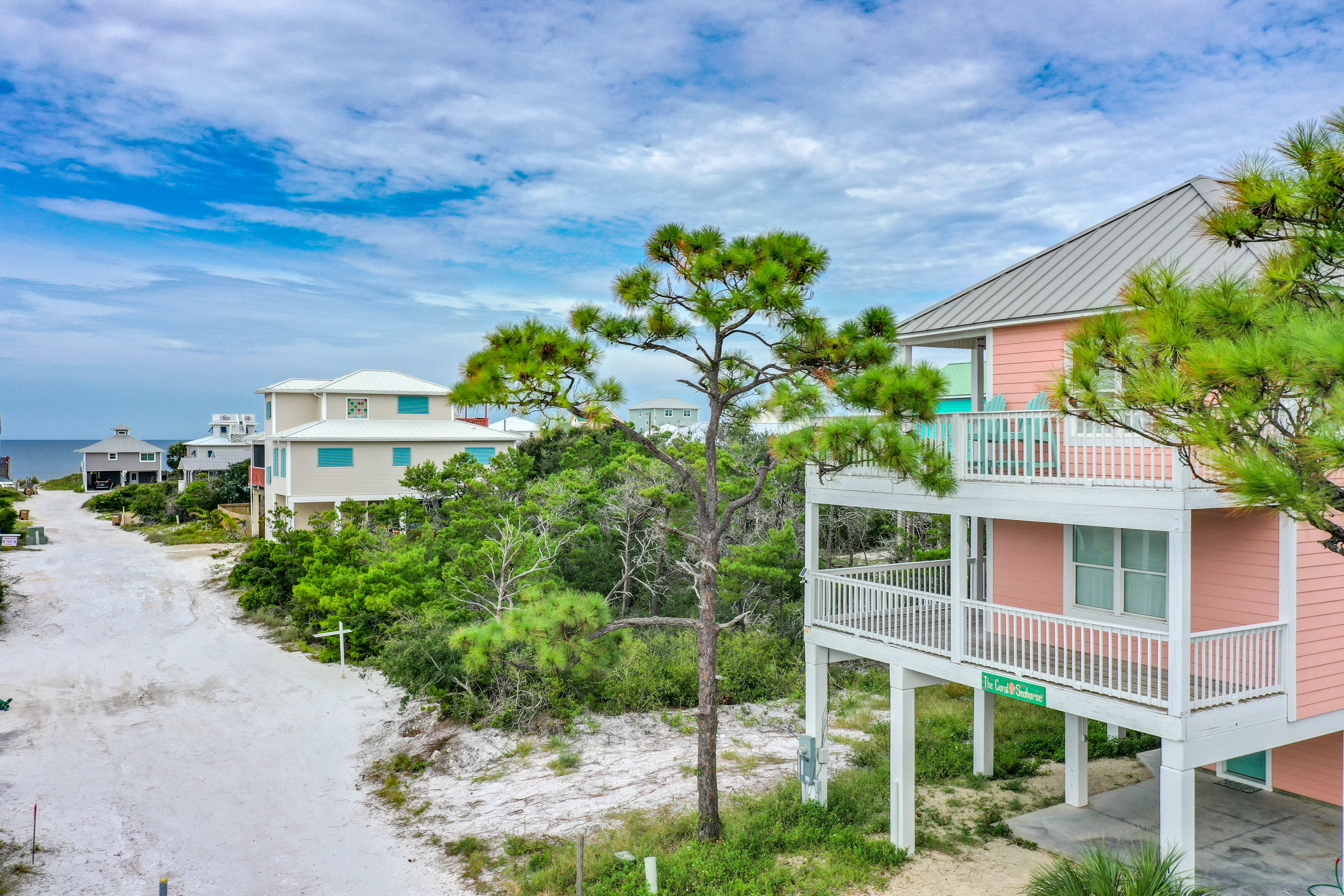 Coral Seahorse Front 2