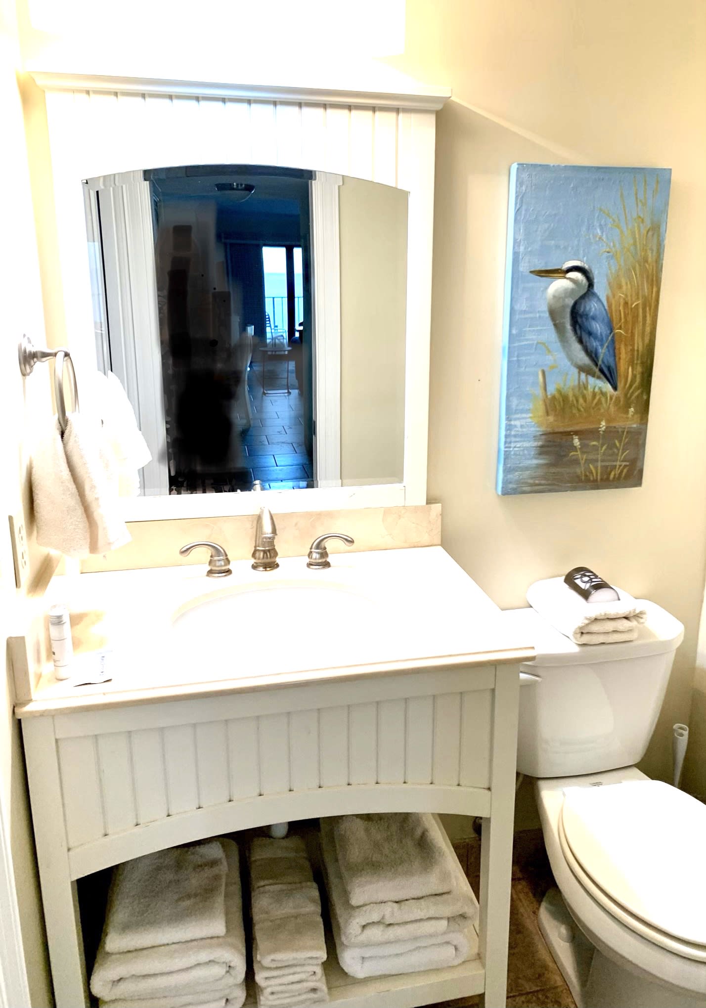 Second bath. Walk in shower 