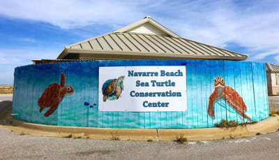 Navarre Beach Sea Turtle Conservation Center