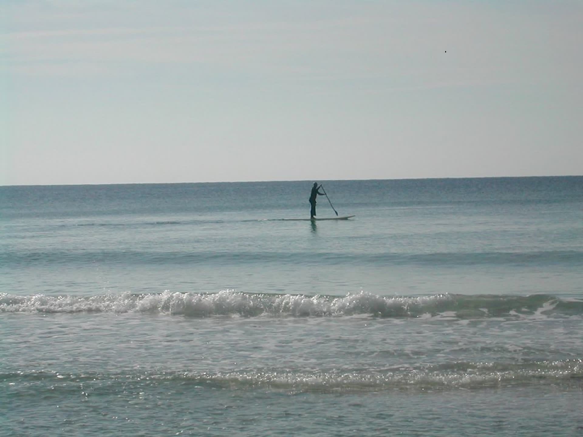 Rent a Paddle Board and have fun on the water