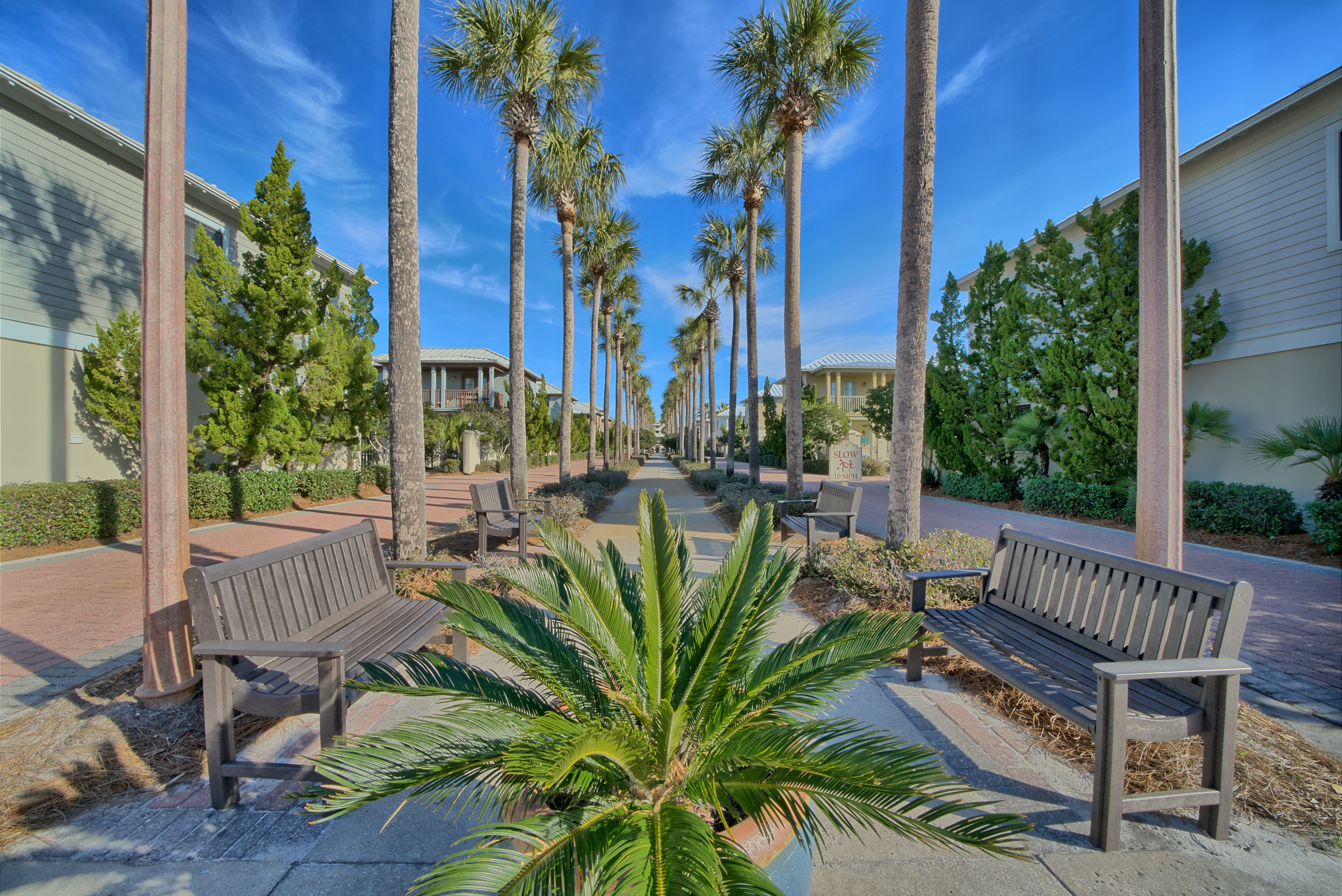 Entrance to Sunset Beach lined in beautiful palm trees.