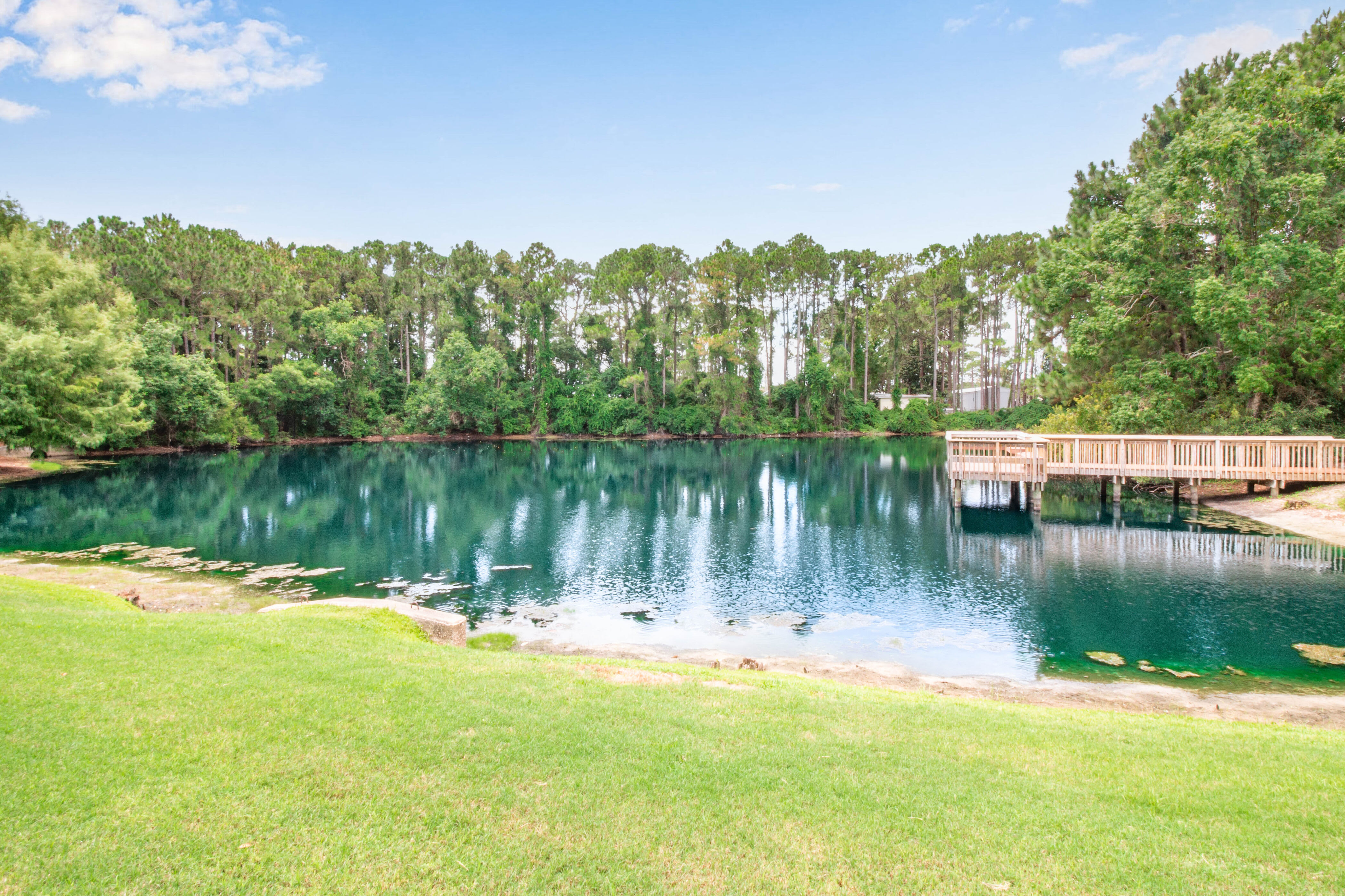 Linkside neighborhood pond. My kids love watching the turtles swim.