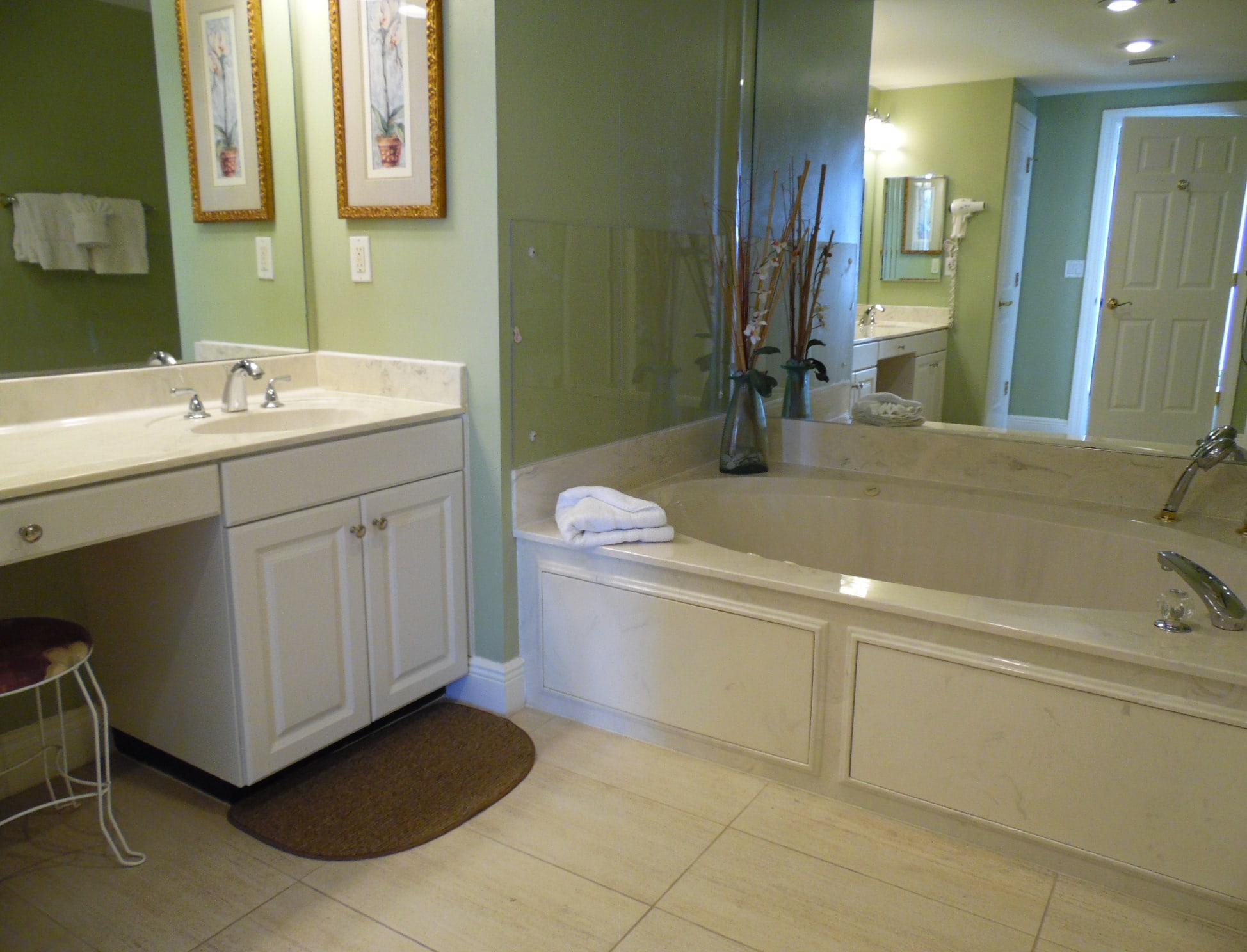 Master Bath Jacuzzi Tub