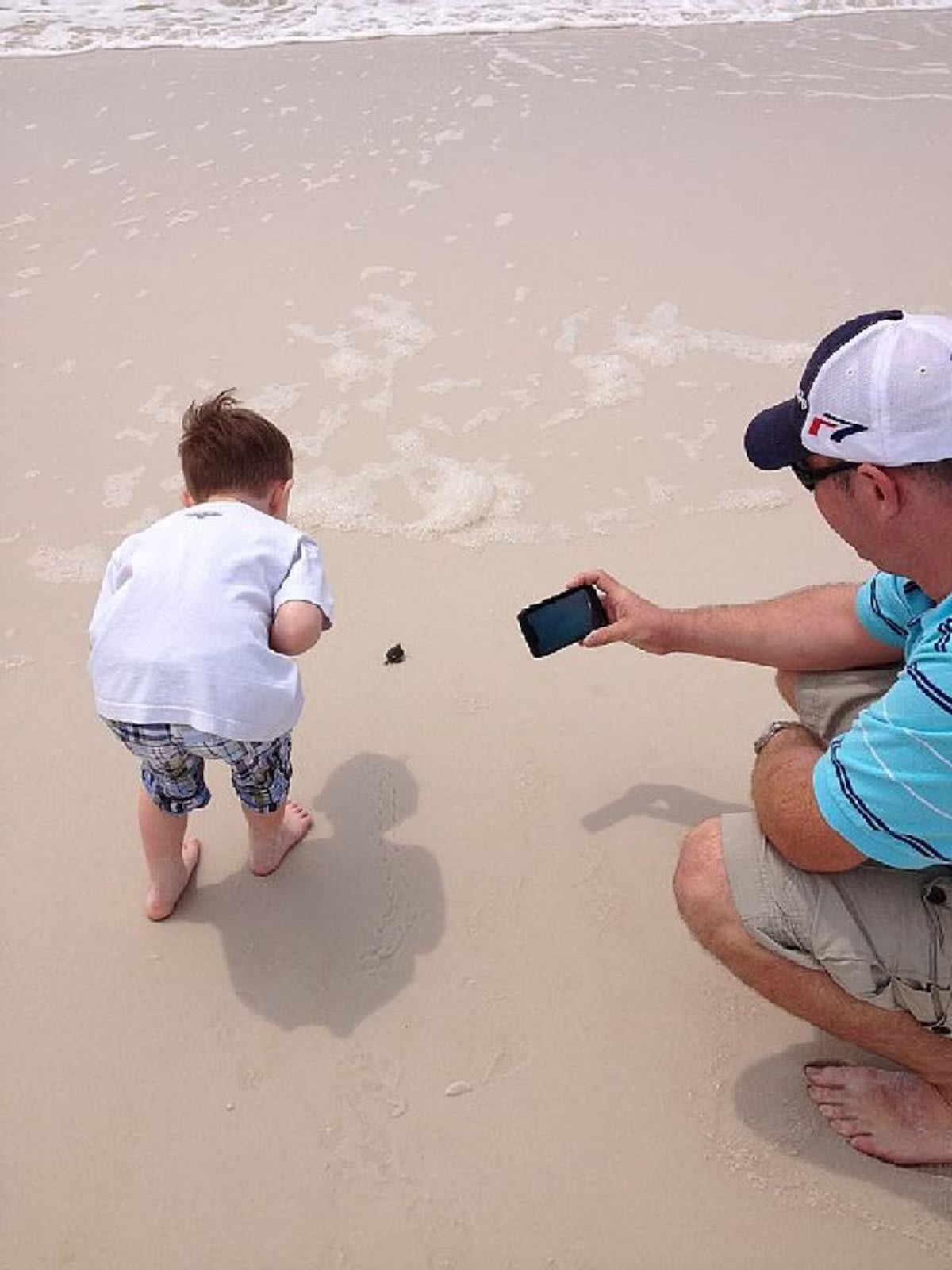 Watching the sea turtles outback on the beach.