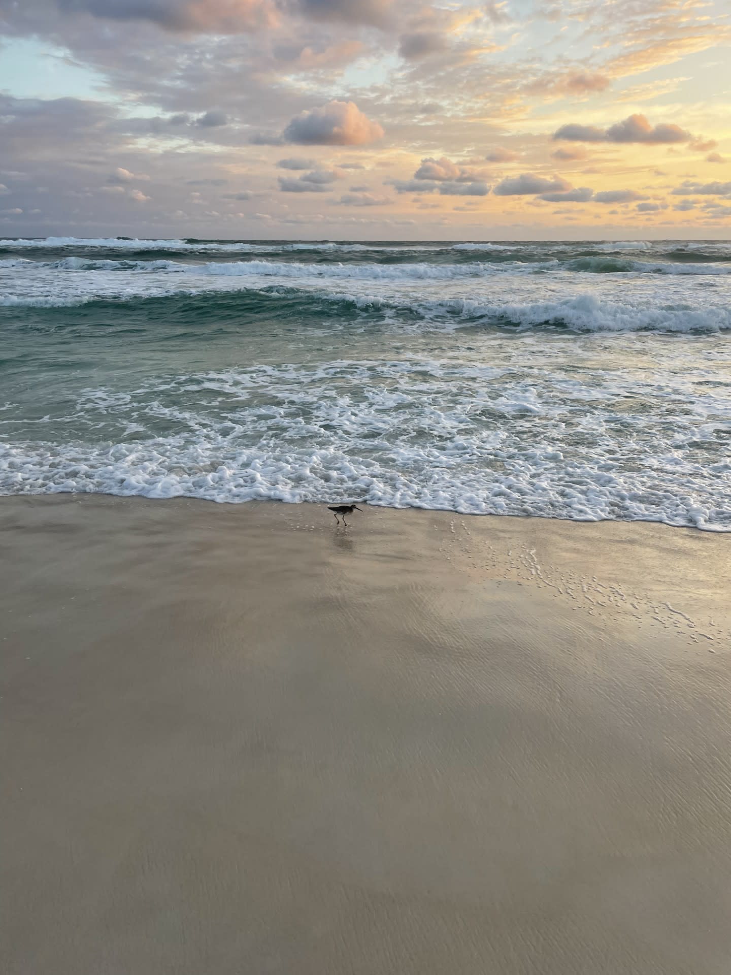 Fall, Winter and Spring Sunsets are the best!