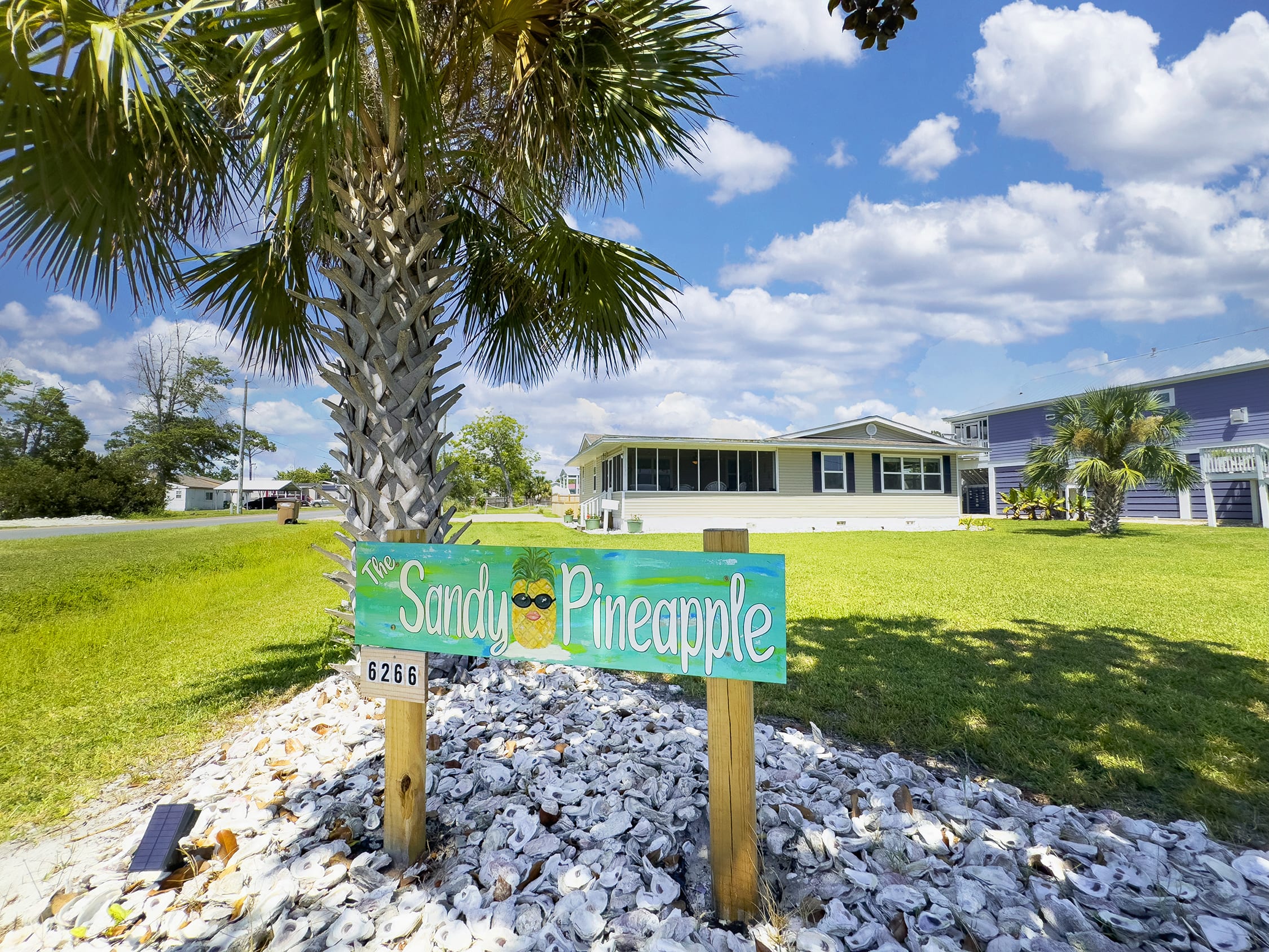 Large yard for playing