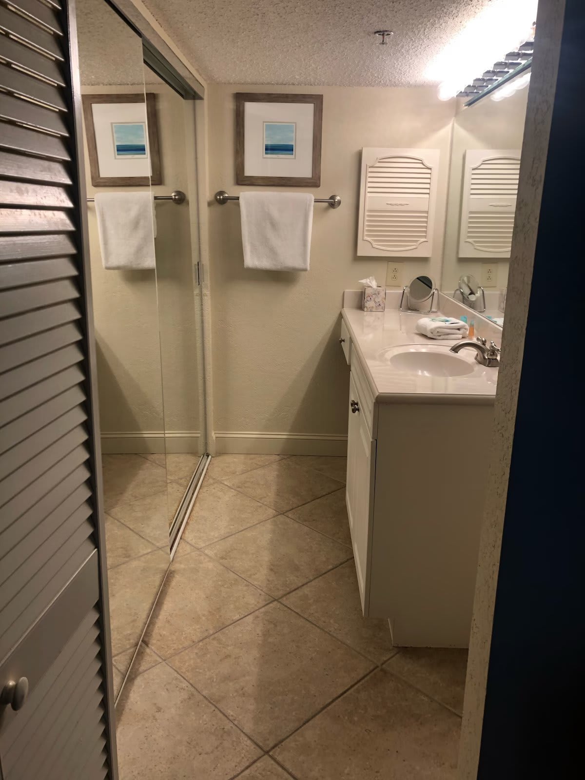 Master bathroom with full sized mirrored closet