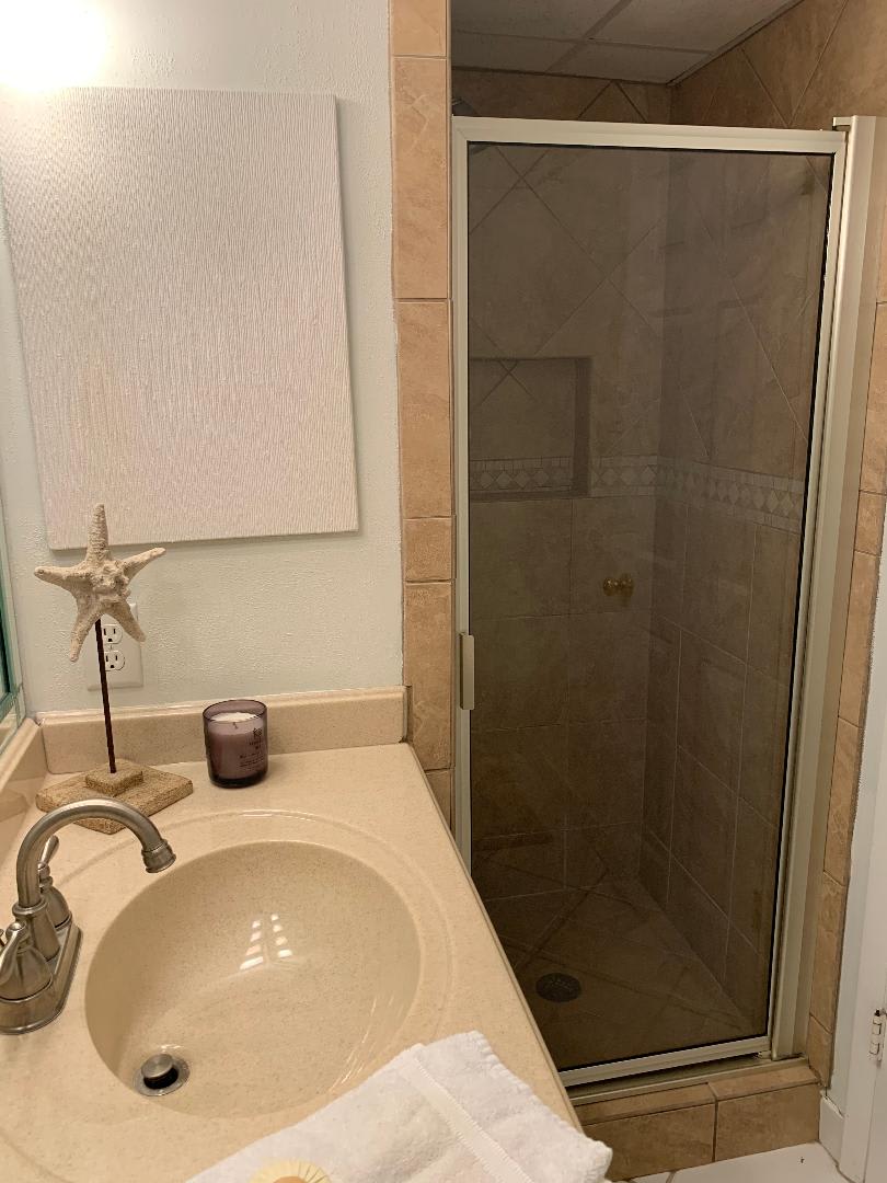 Guest Bath with Walk-in Shower