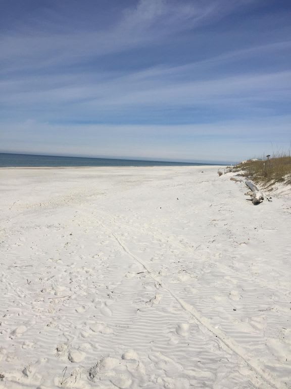 Facing North on the Beach