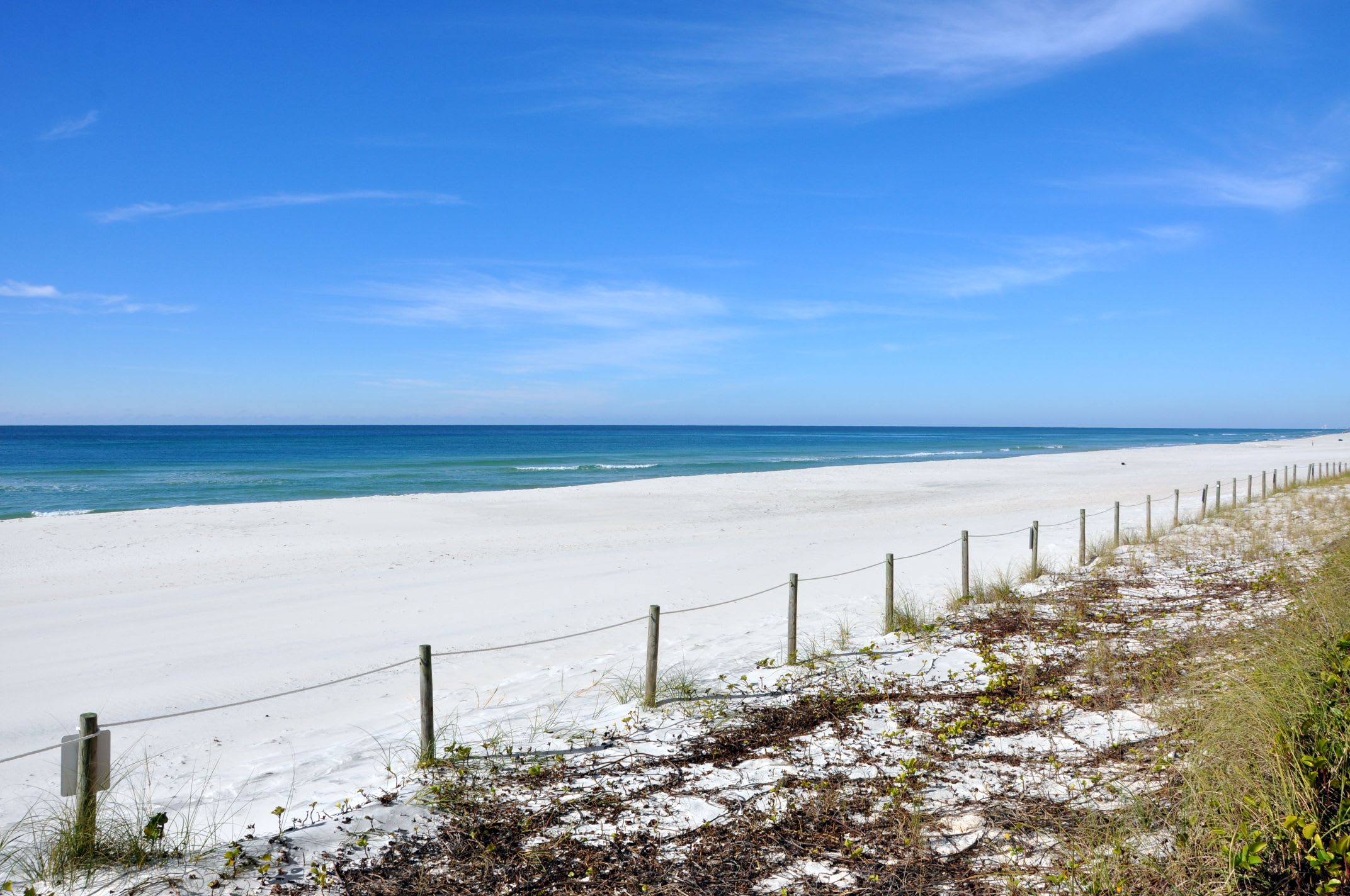 This is just one reason why we call it the Emerald Coast.