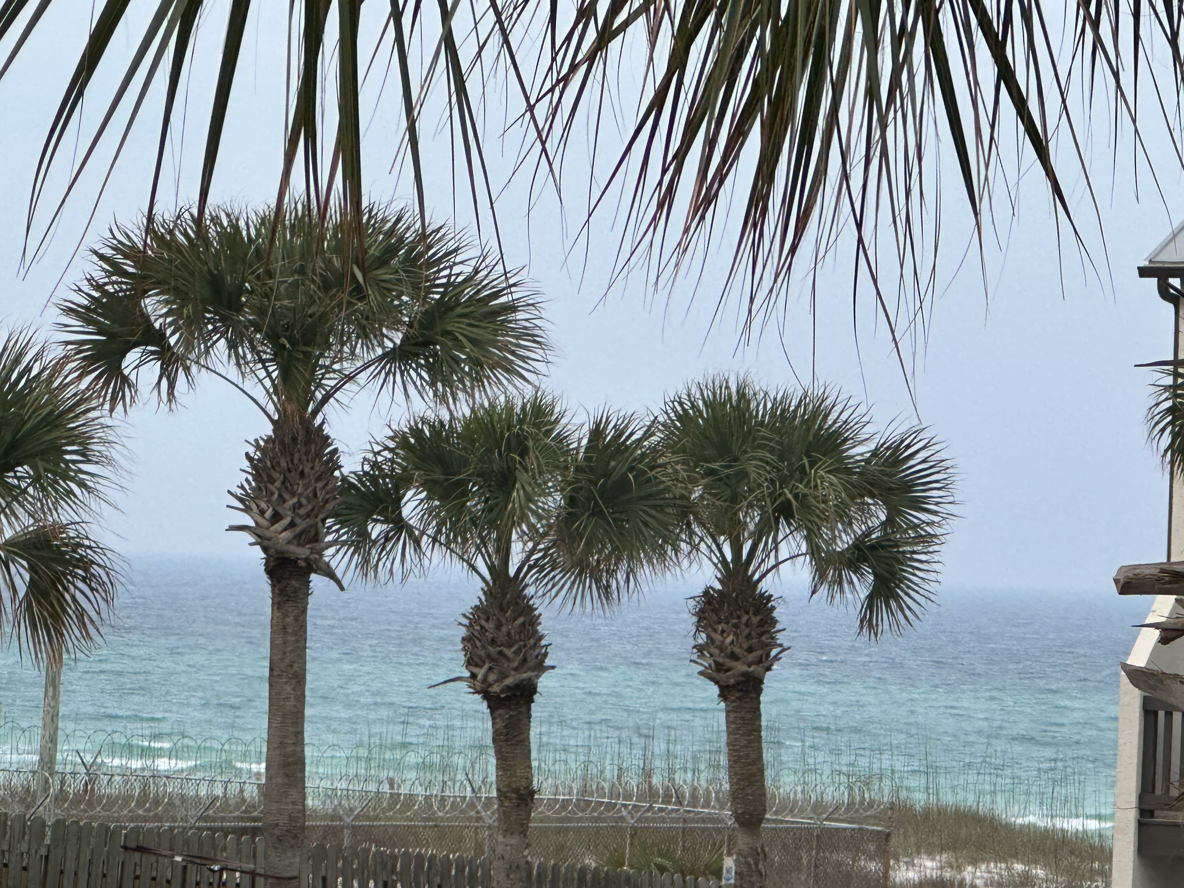 zoomed in View from 2nd floor balcony