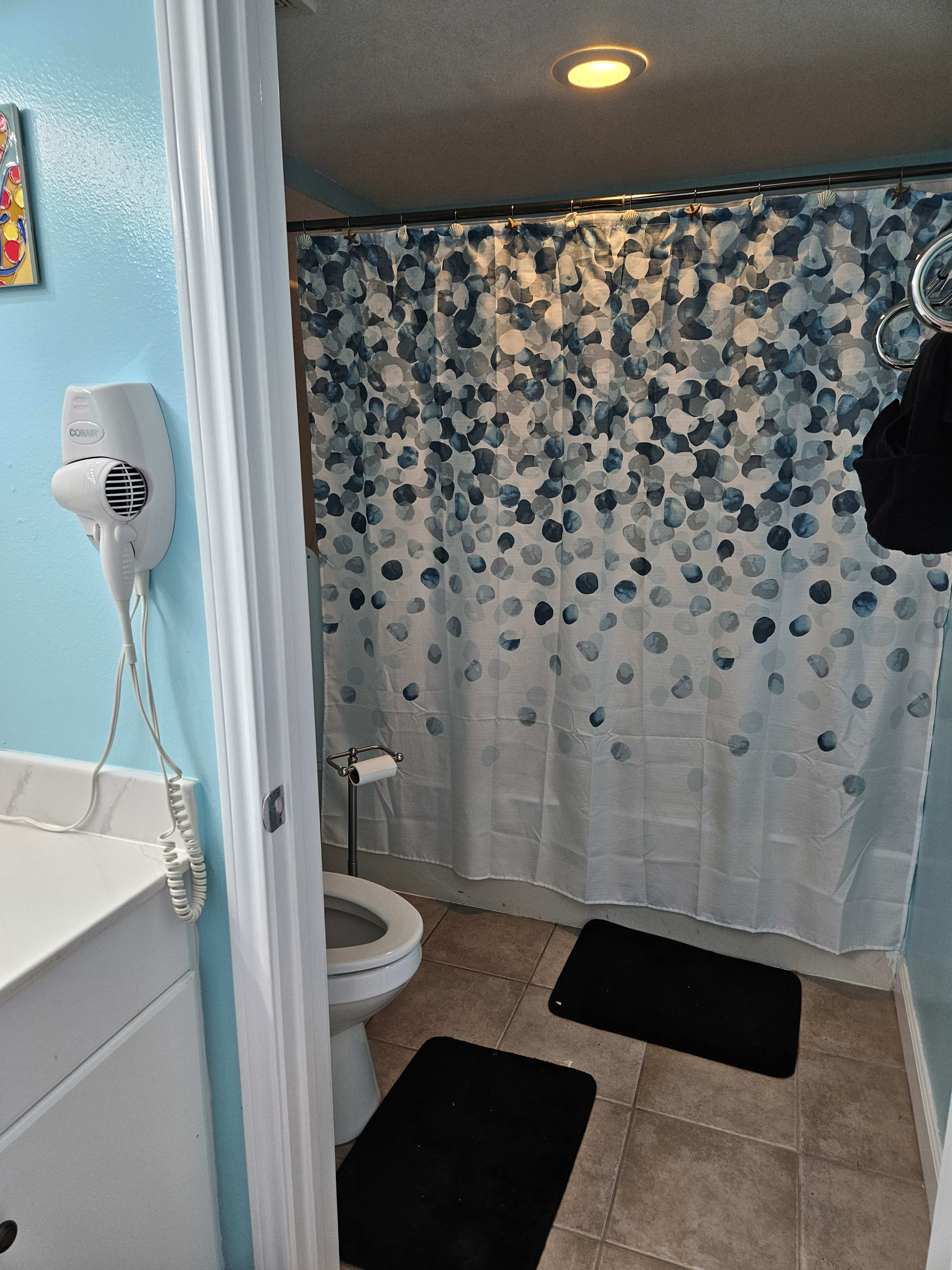 Master bath separate shower and tub