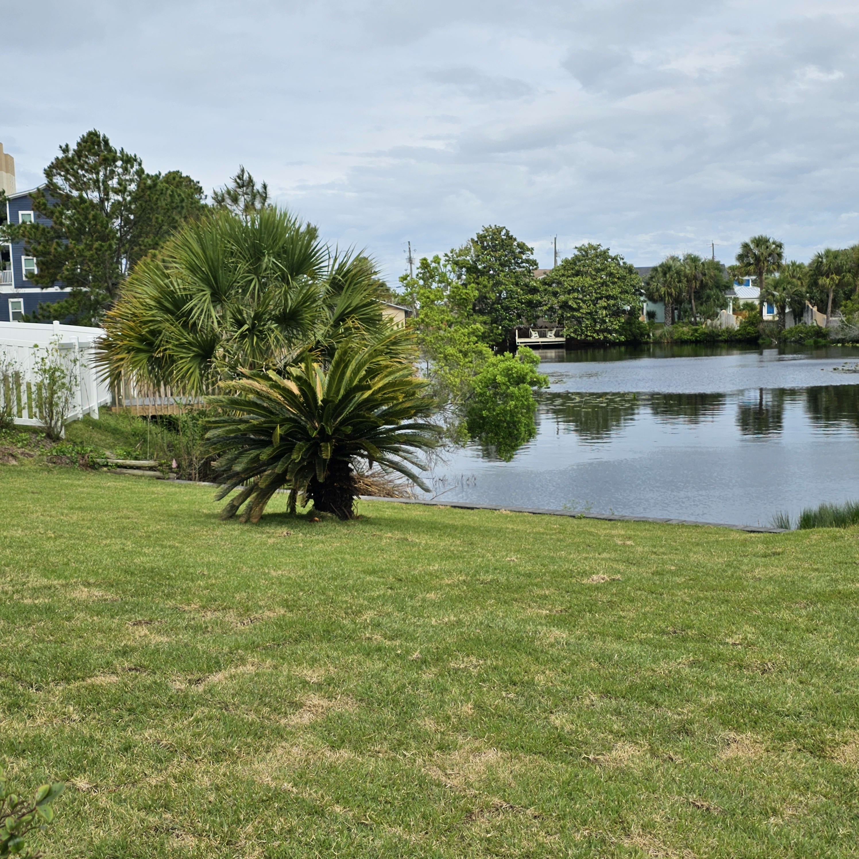 Back yard overlooks lake