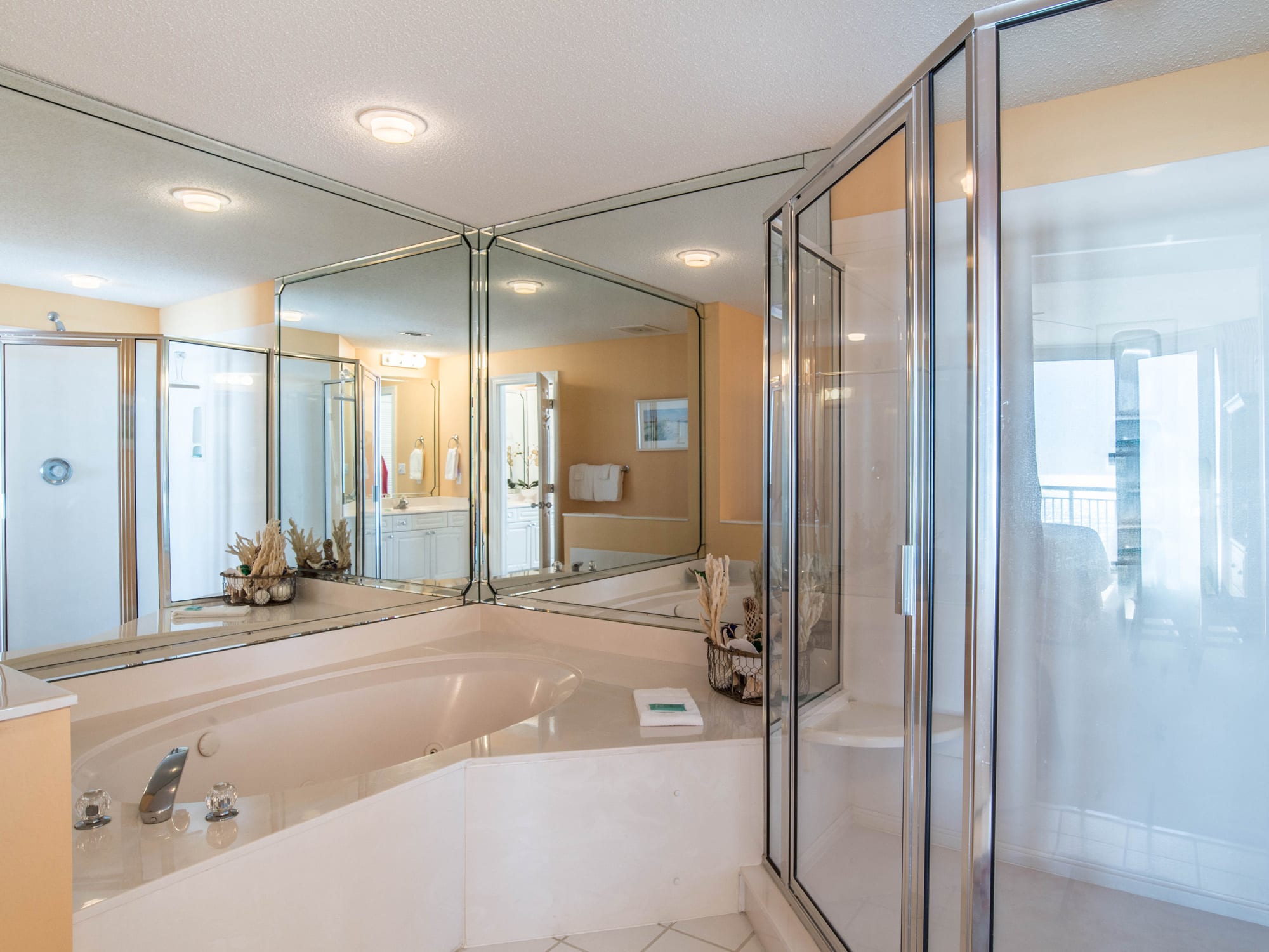 Large jetted tub in the Master Bathroom and separate shower.