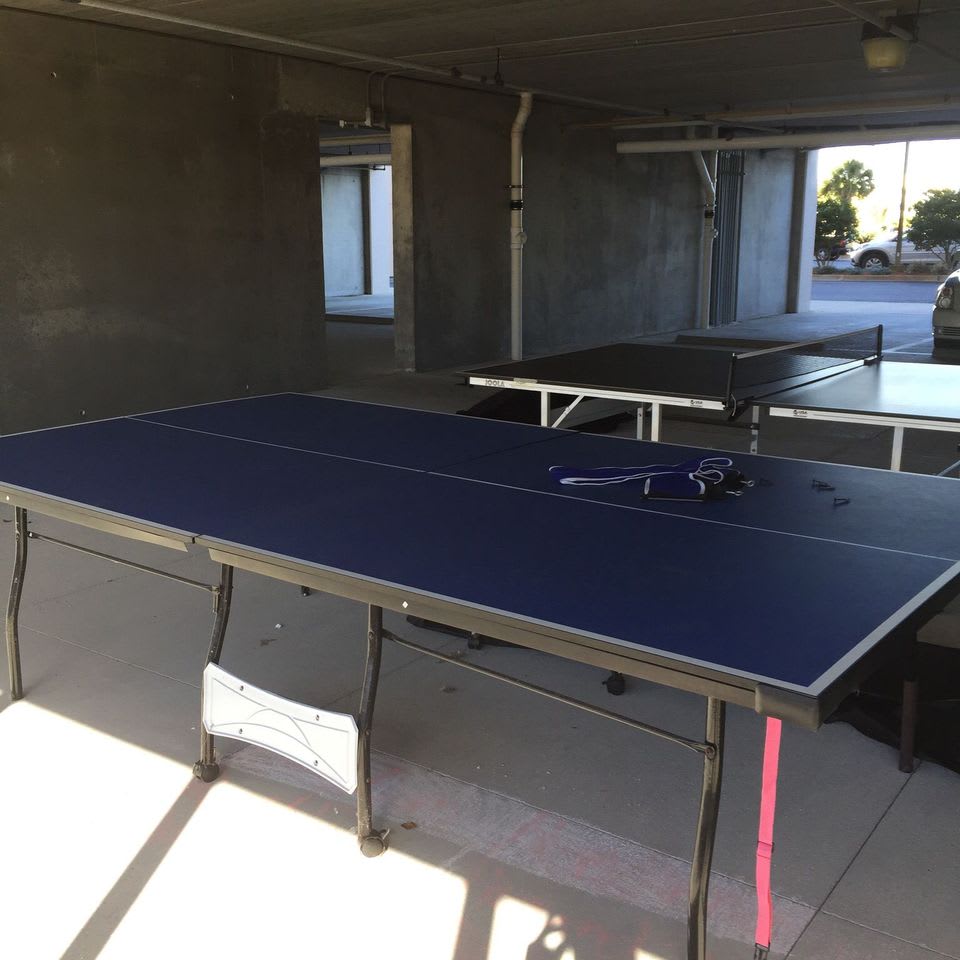 Ping Pong Table for Rainy Days