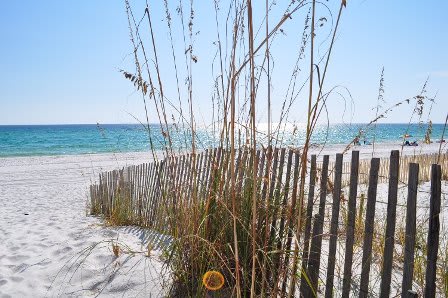 Sanddollar Townhomes, Miramar Beach, Destin Florida Pet Friendly Vacation Rentals by Sunset Resort Rentals