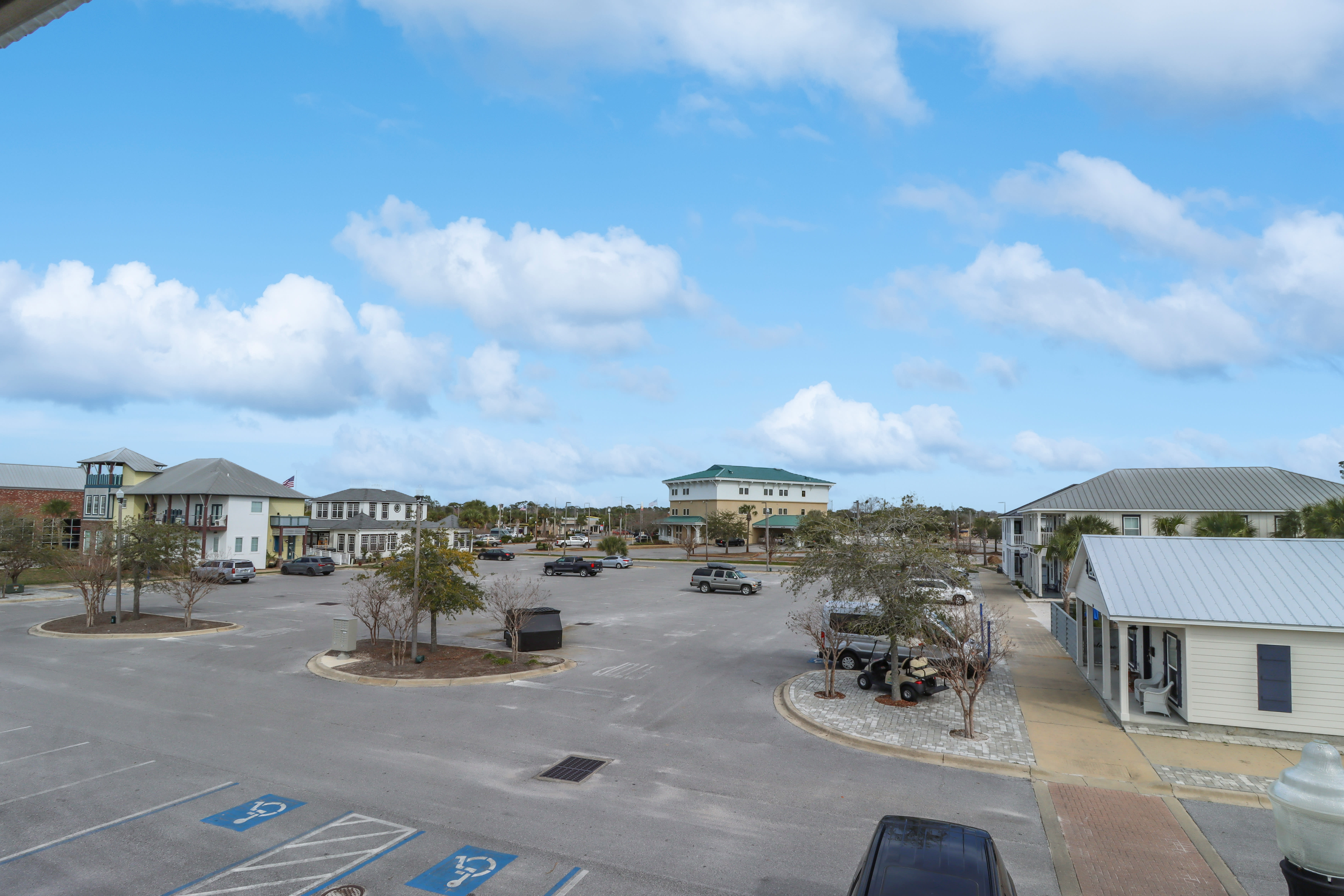 Haughty Heron Across Parking Lot