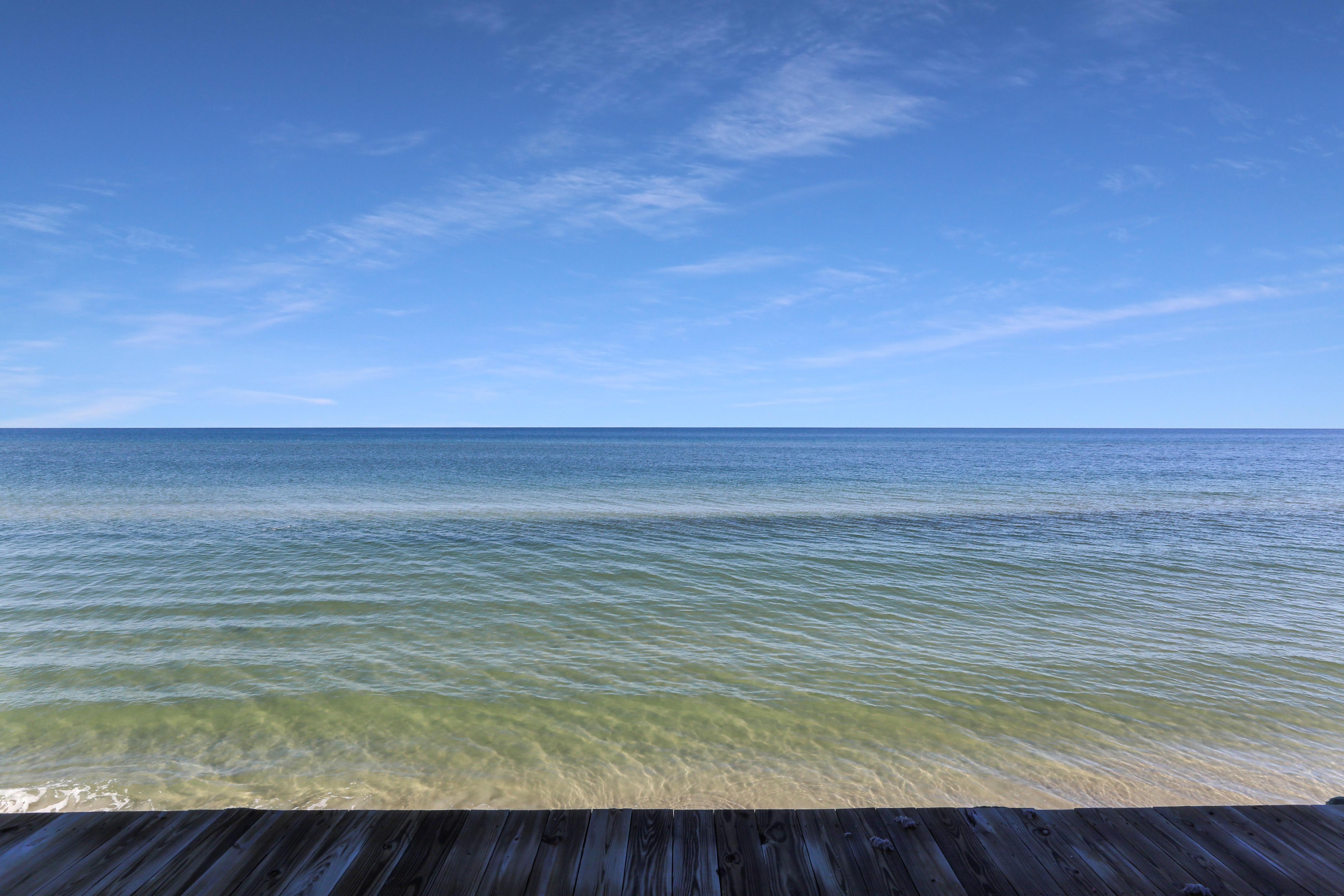 View from Under the House