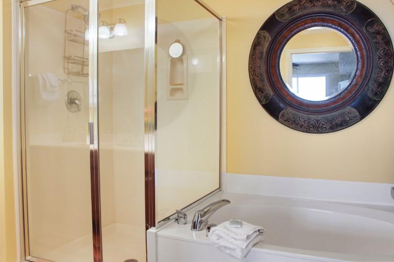 Master Bathroom 1 Part 2