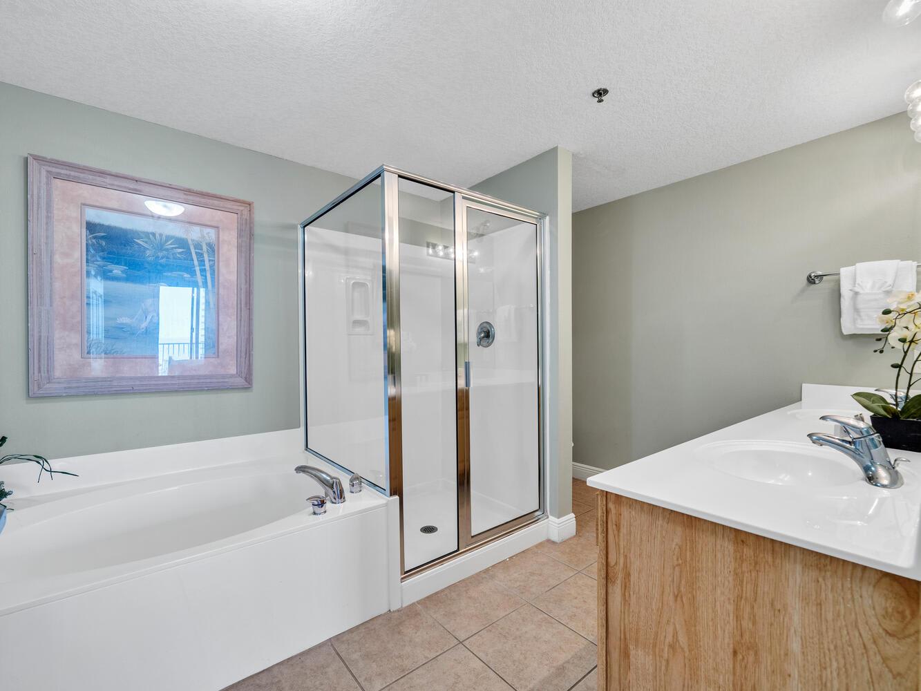 Master Bathroom 1 Part 2