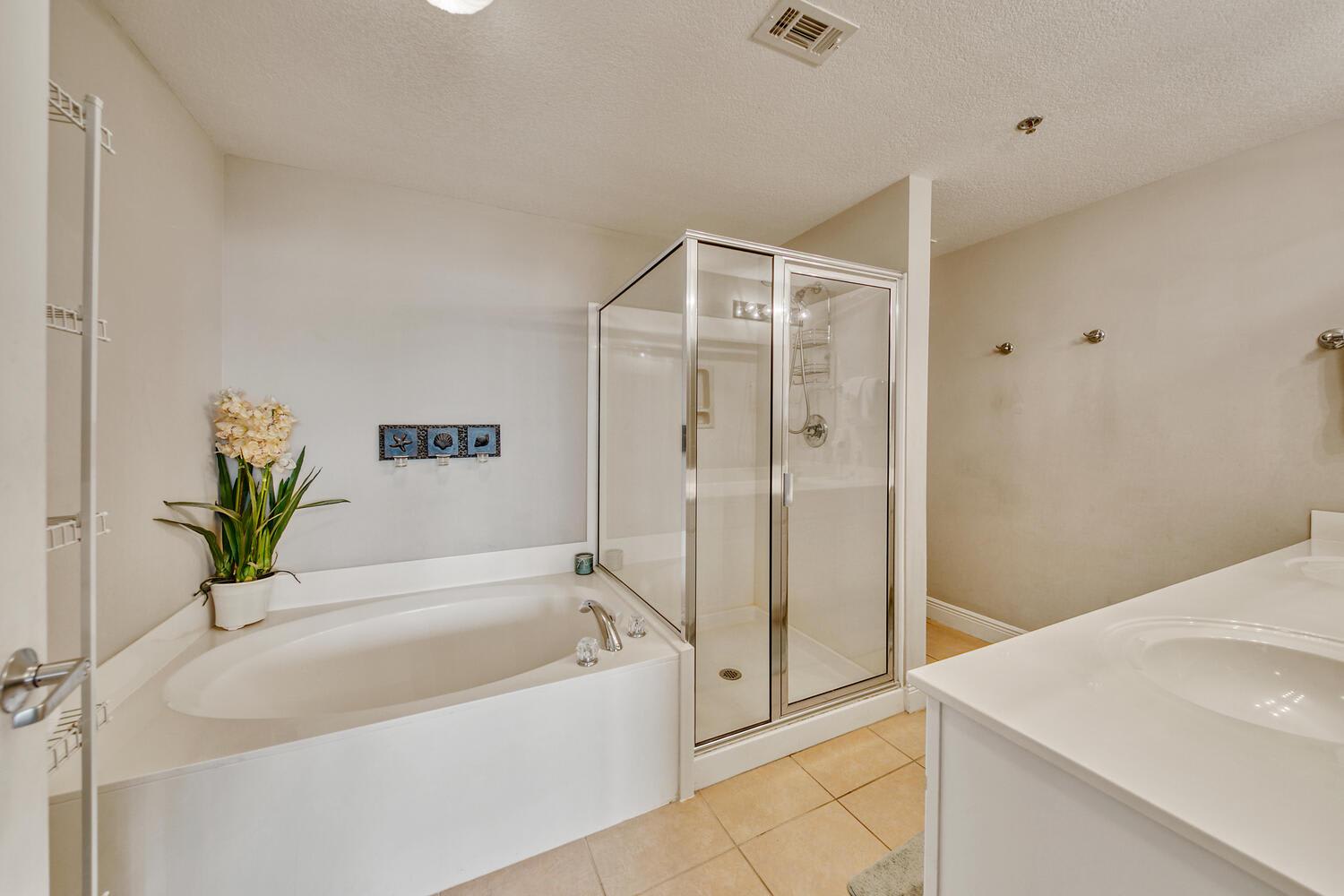 Master Bathroom 1 Part 2