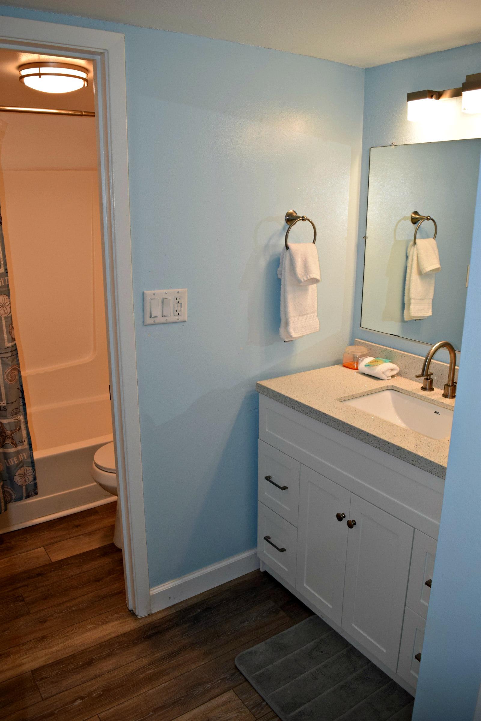 Master bathroom with a separate shower room.