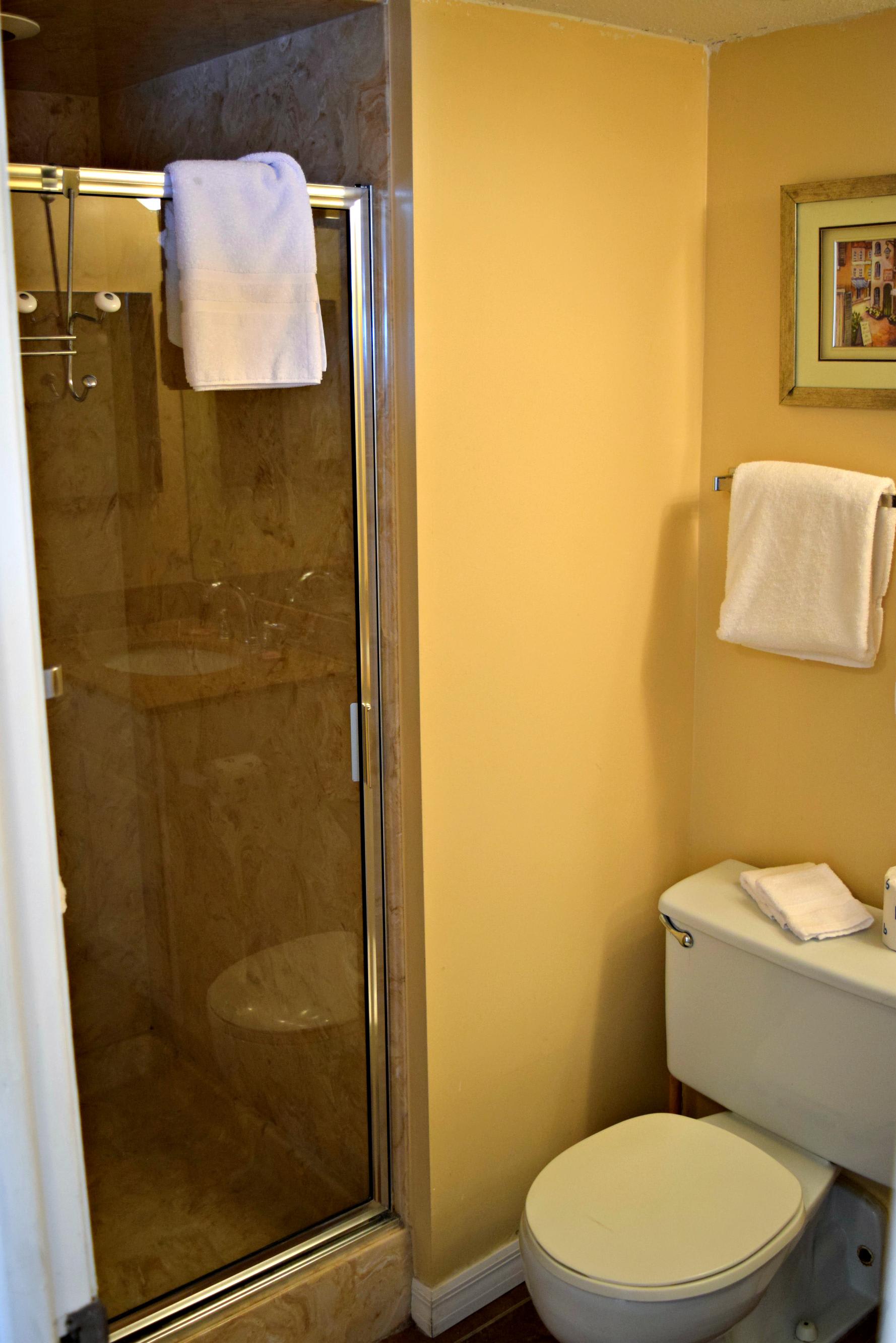 Guest bath with a new remodeled shower and vanity.