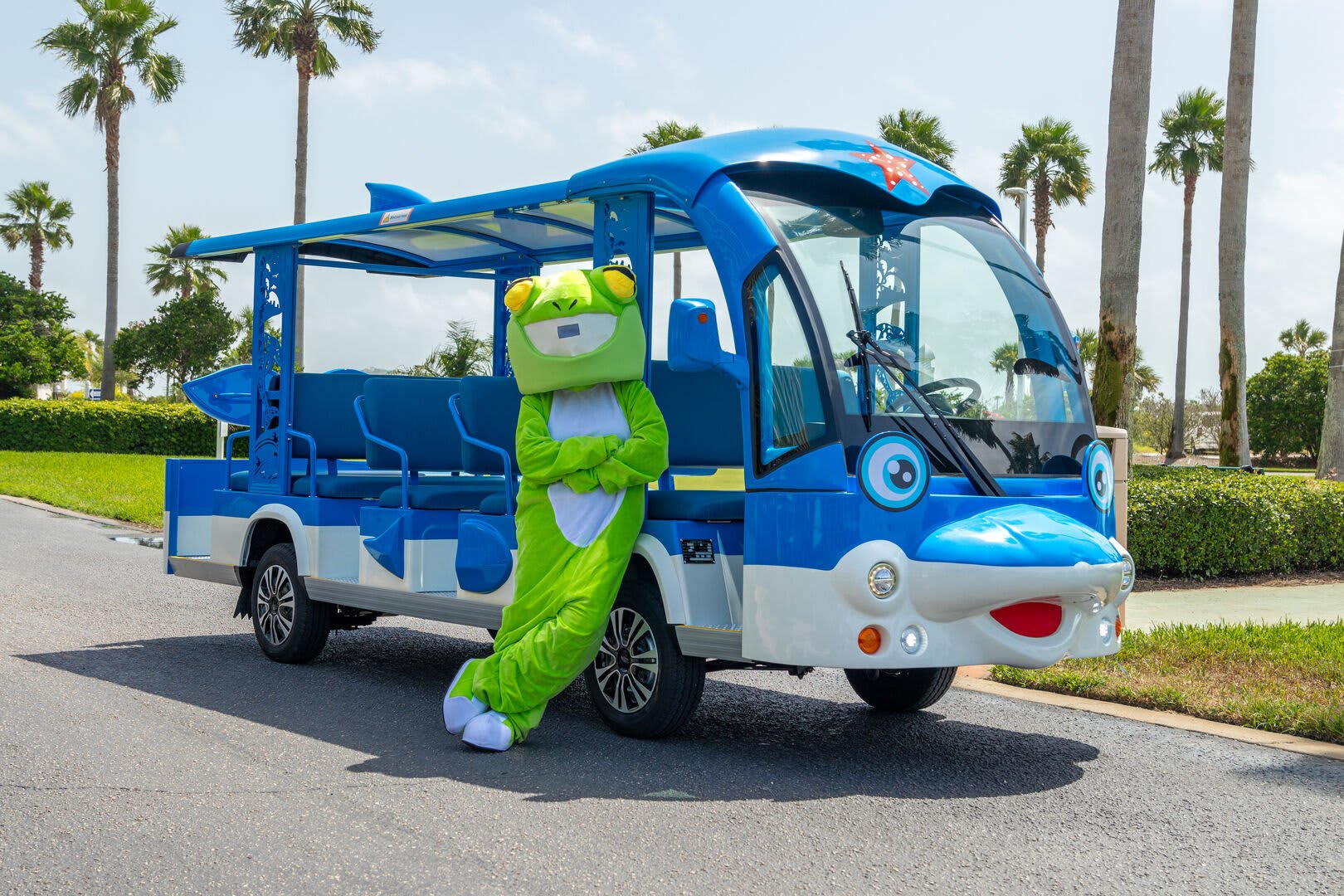 Caribe Resort Property View