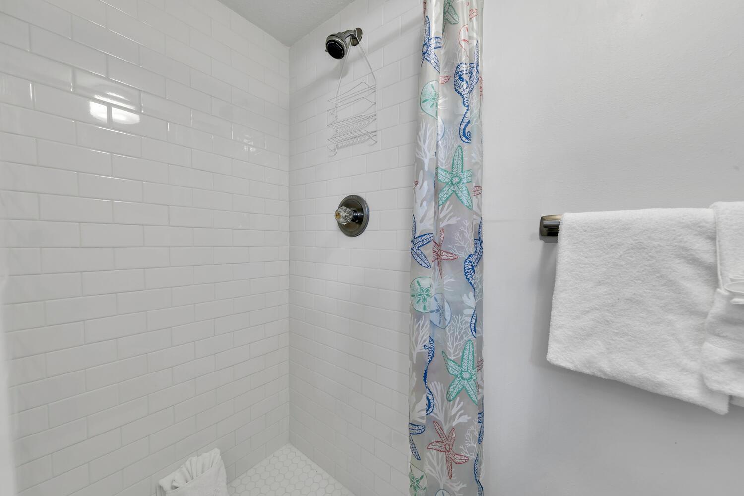 Master Bathroom 1 Part 2