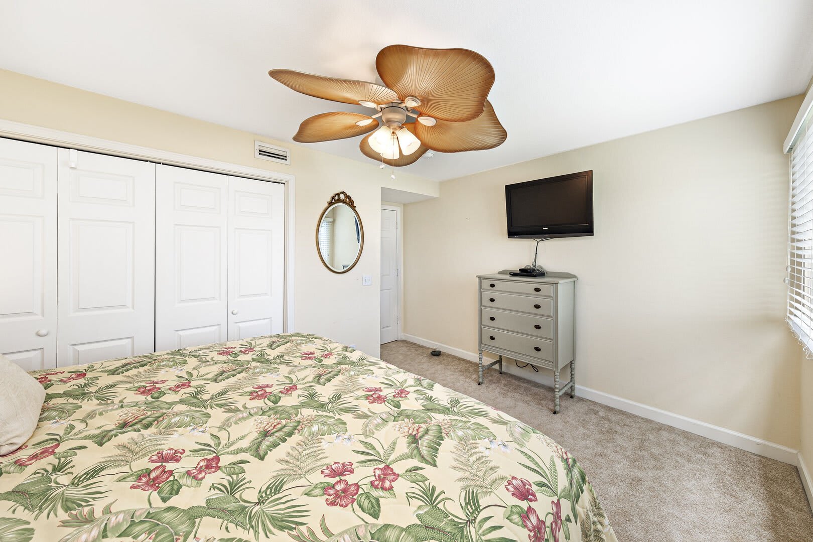 Needle Rush Point Unit C11_19