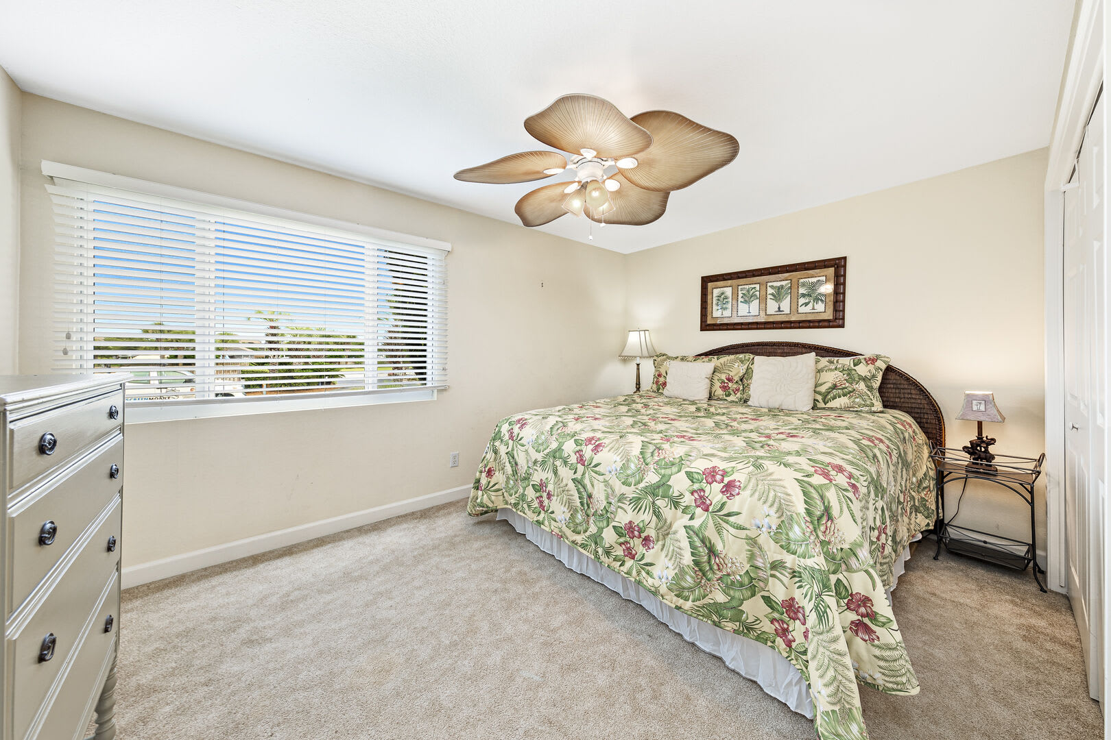 Needle Rush Point Unit C11_18