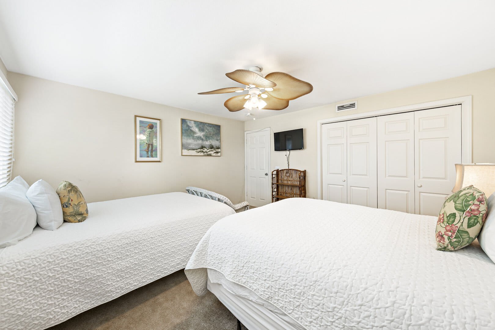 Needle Rush Point Unit C11_21