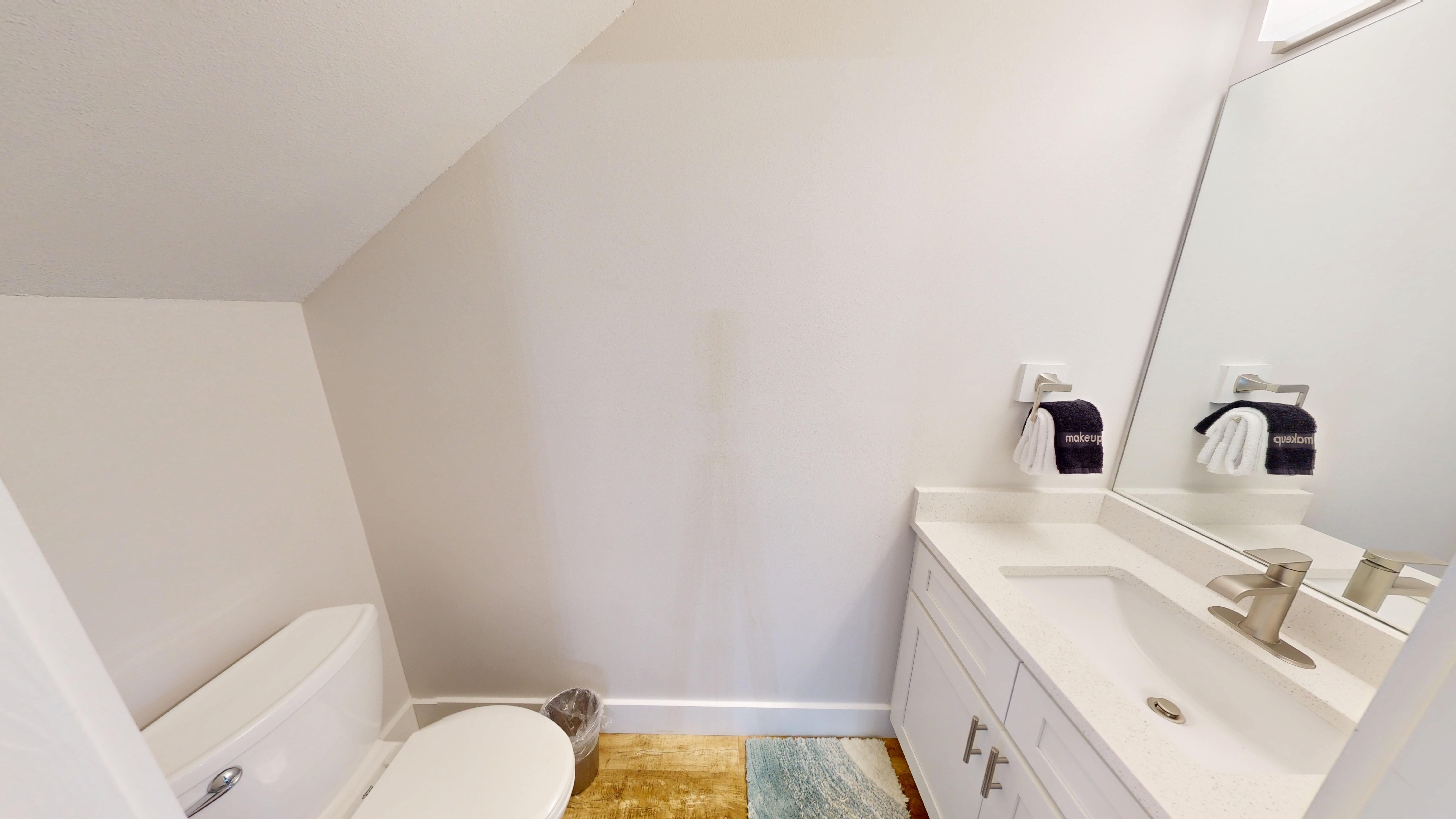 Half Bathroom (downstairs)