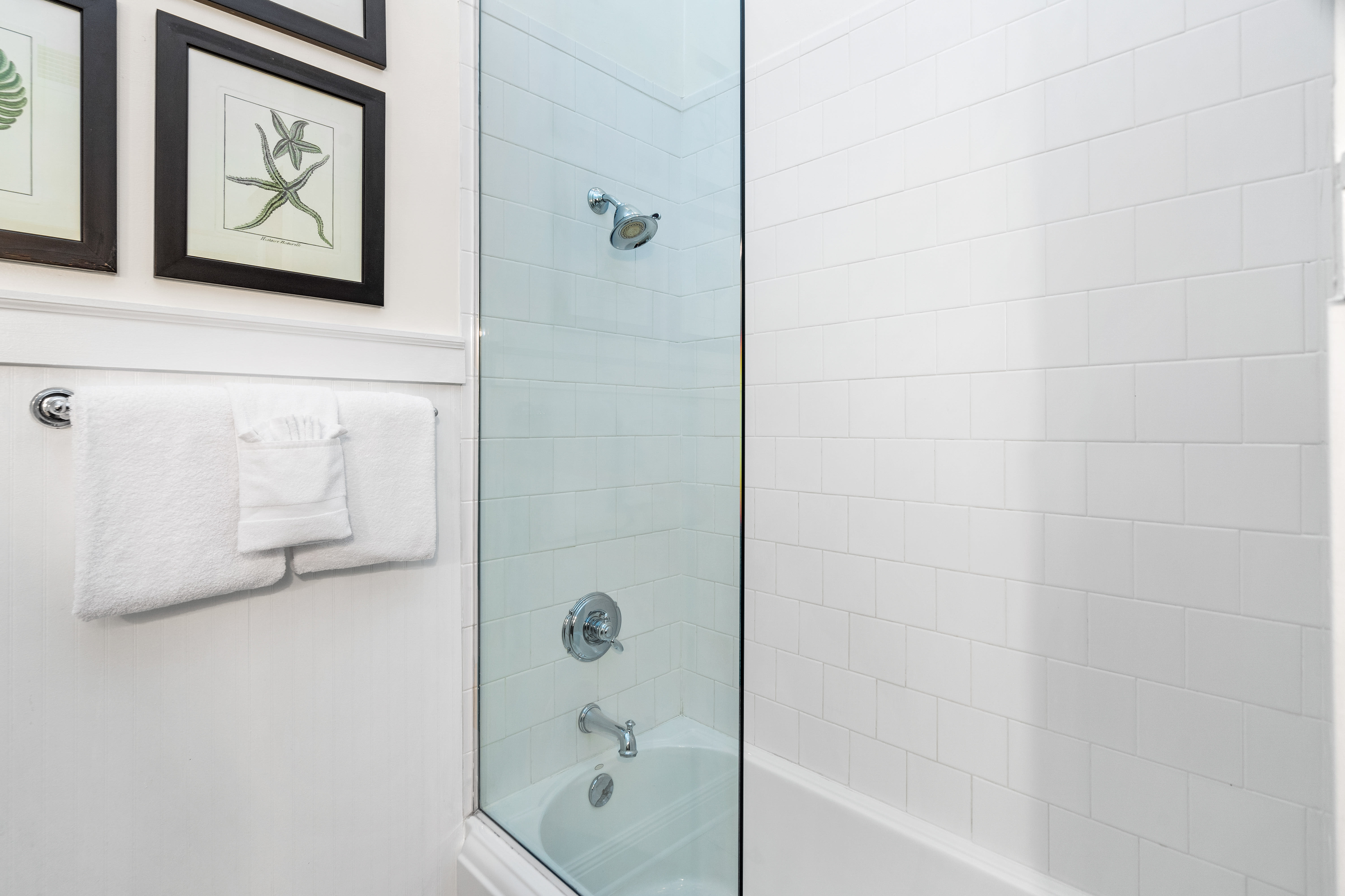 Primary King En-Suite - Shower/Tub Combo