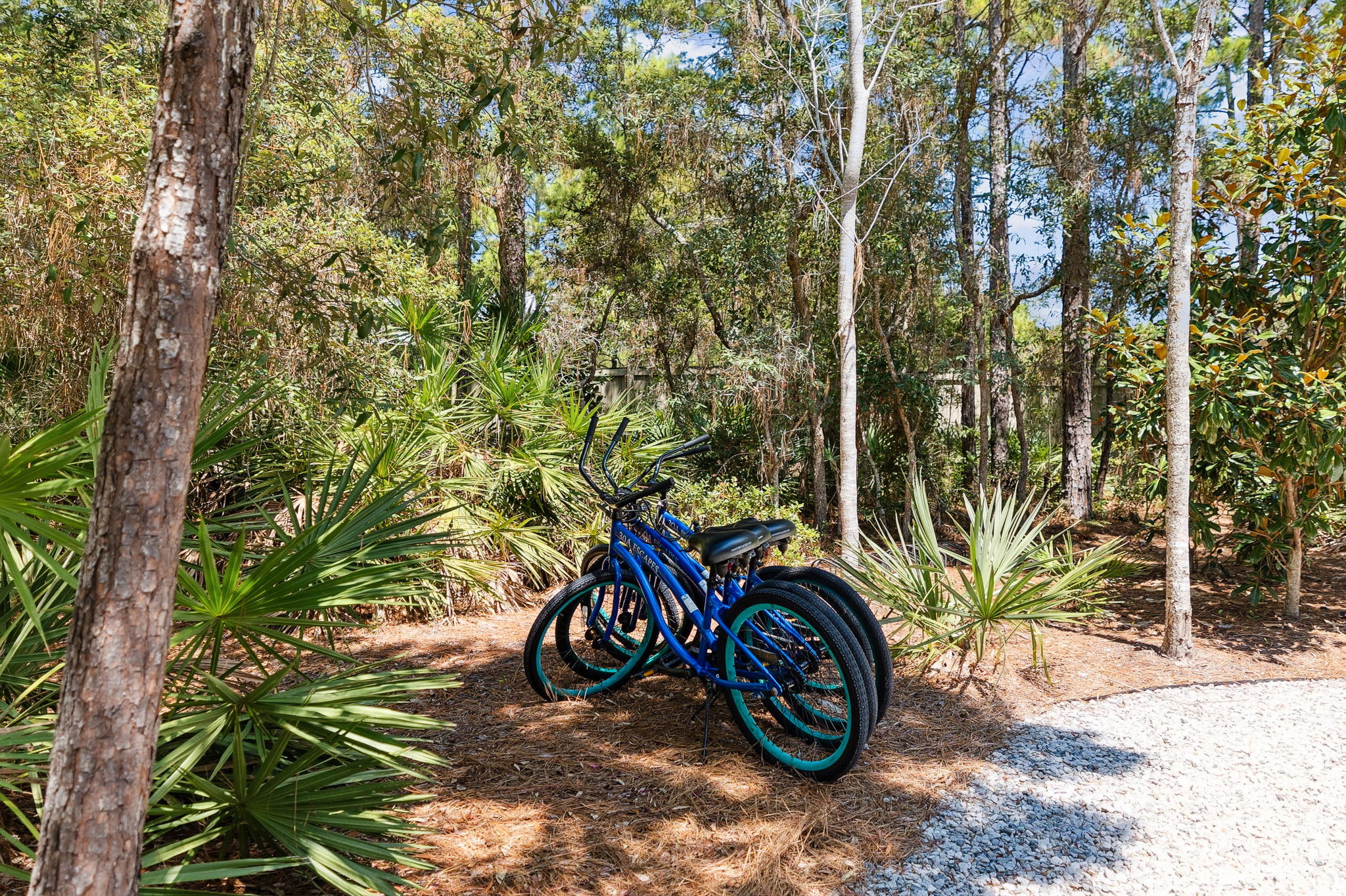 Take a Ride & Explore 30A on Included Bikes!