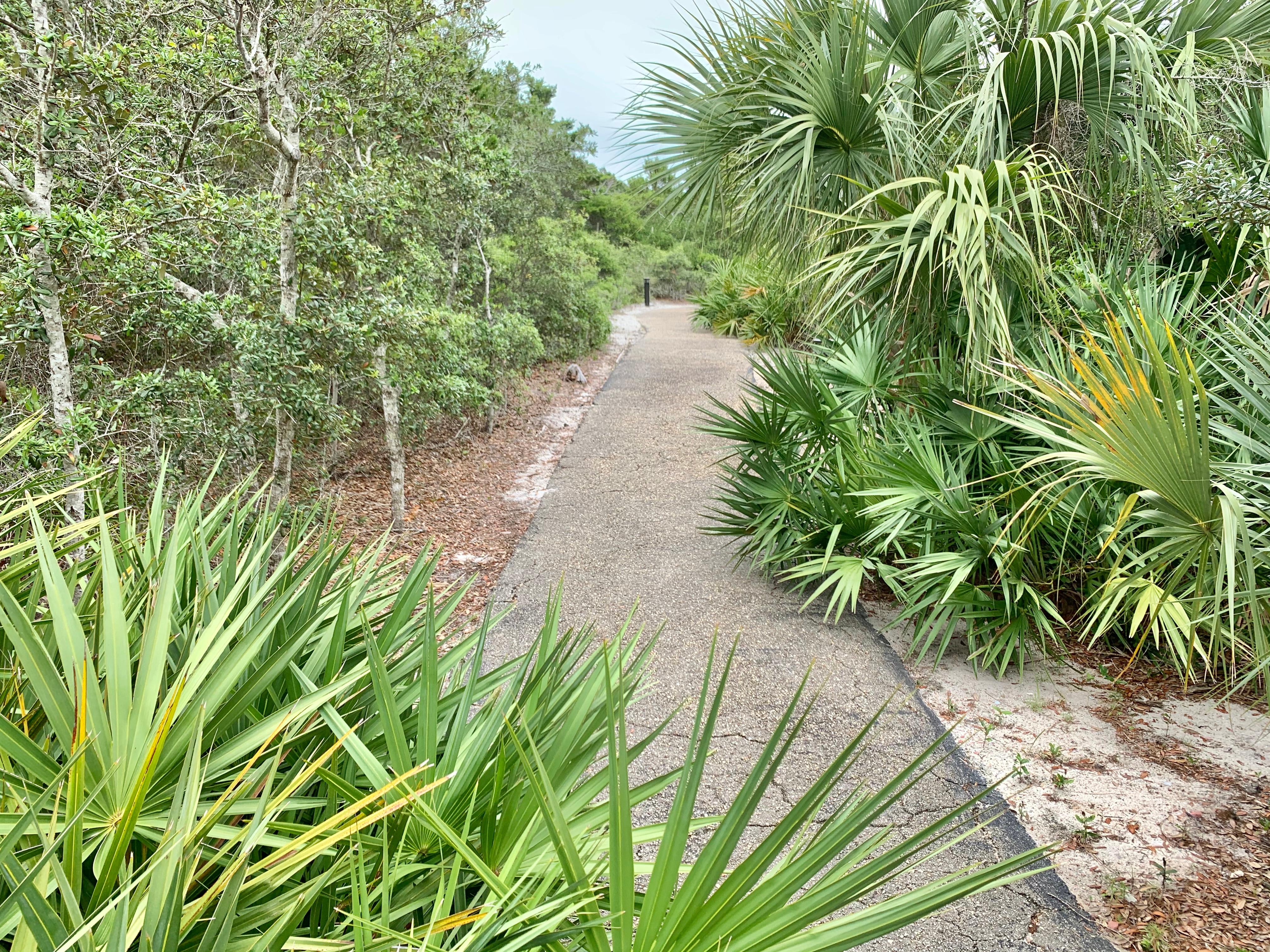 Entrance to the beach just steps away from your condo
