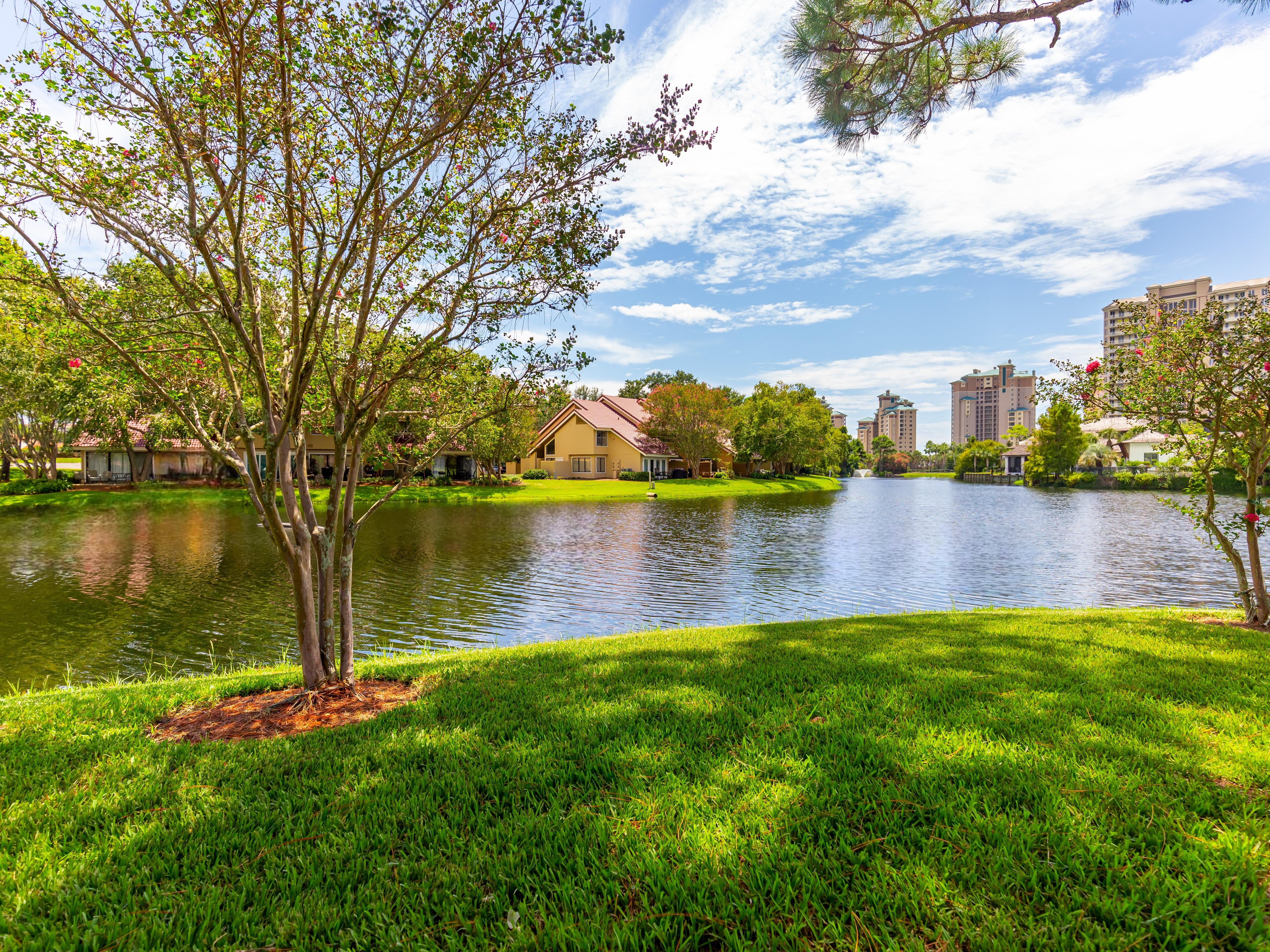 Beautiful Lake views