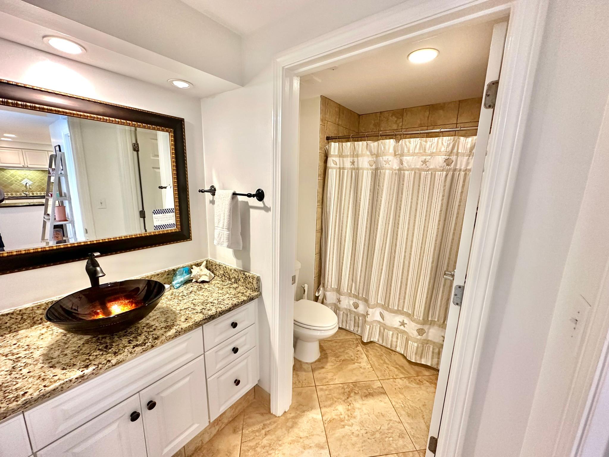 Guest bathroom