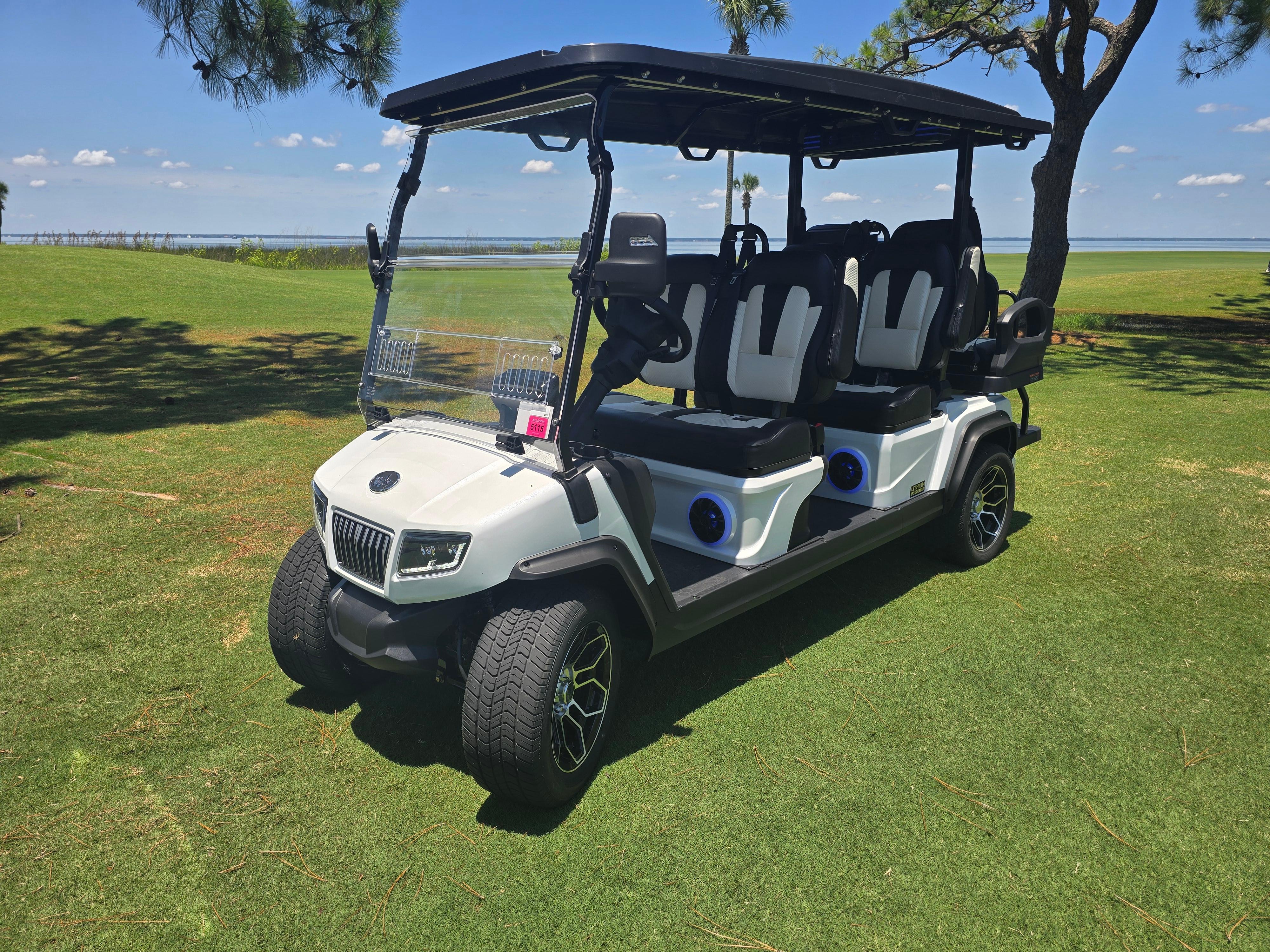 New 6-Seater Cart