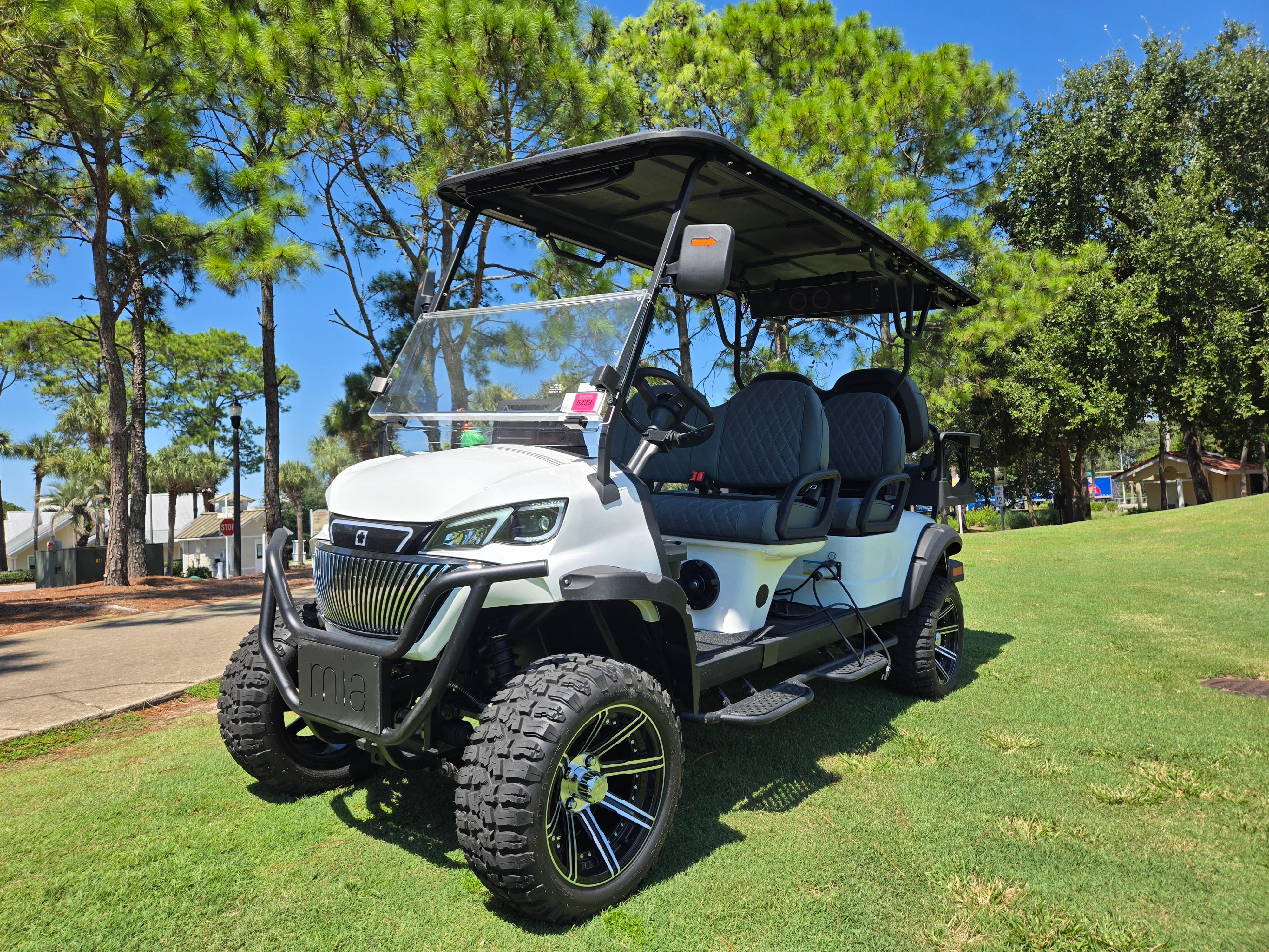 6-Seat Golf Cart Included