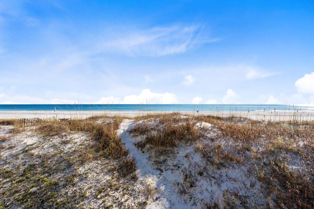 23 The Beach Shack Ocean Front View